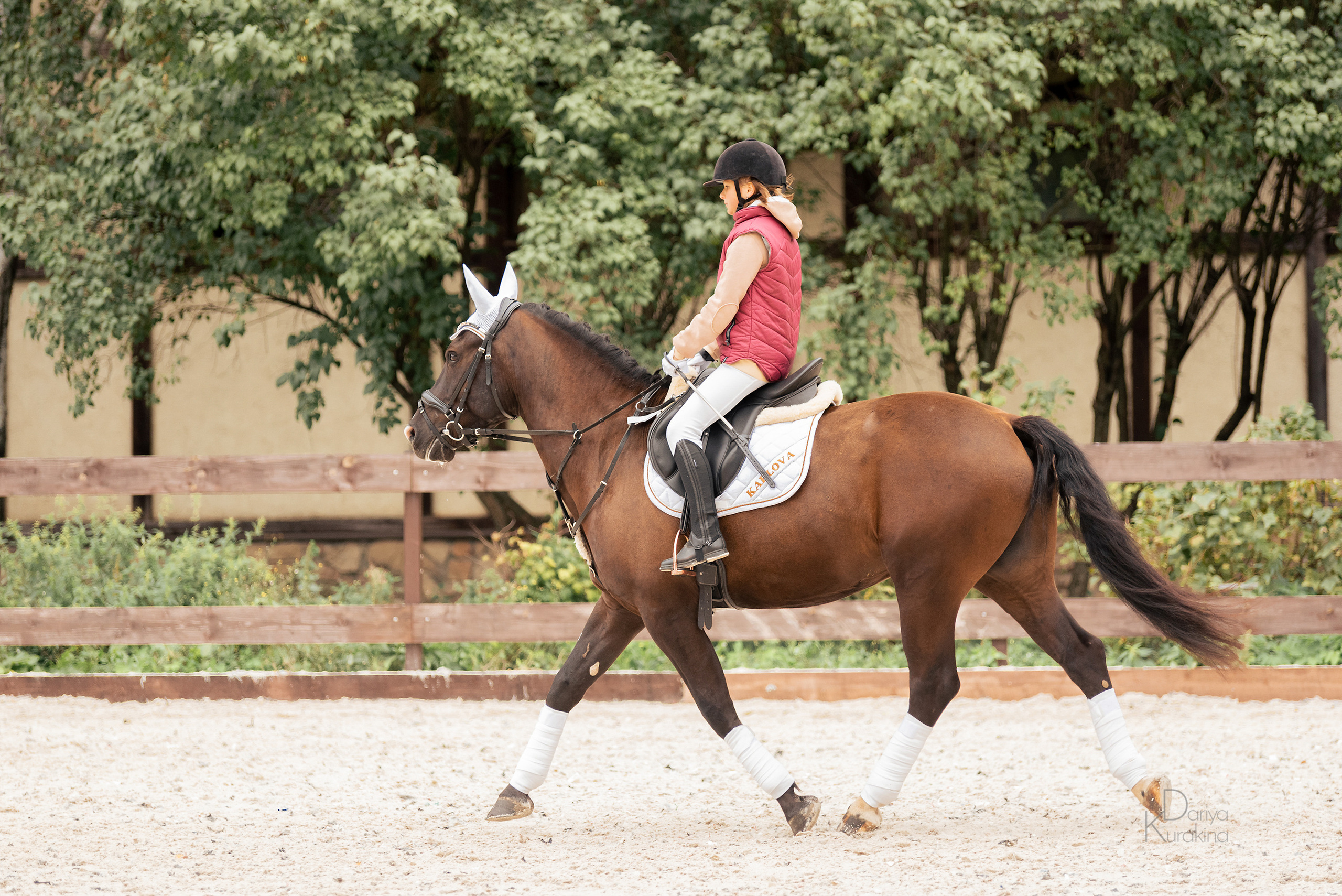 КСК Белая Дача, конкур. Конный фотограф Куракина Дарья • Фотосессии с лошадьми