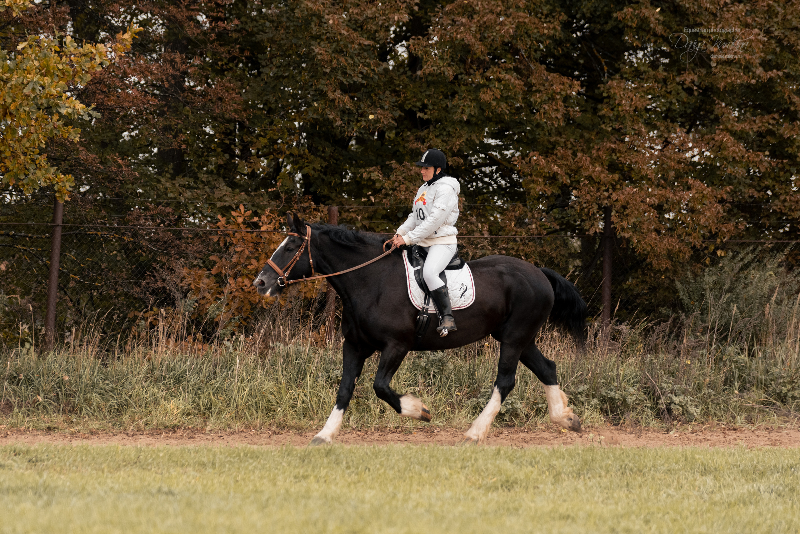 Богдарня. Конный фотограф Куракина Дарья • Фотосессии с лошадьми
