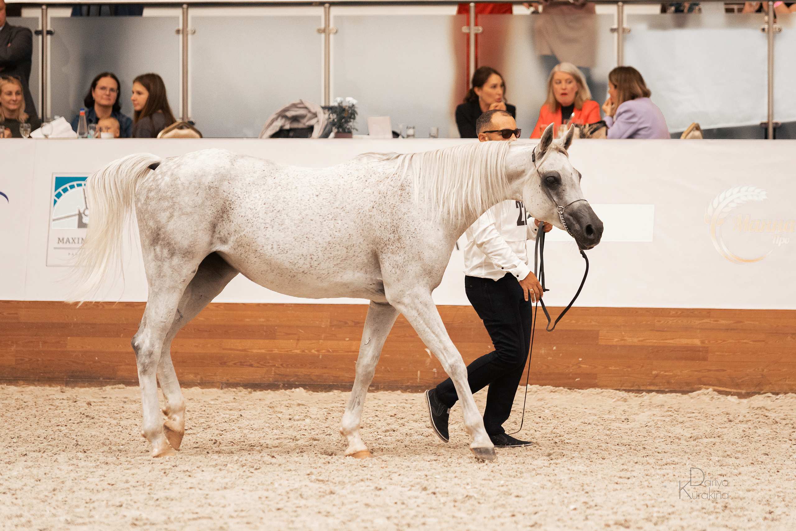 Конная Россия 2021. Конный фотограф Куракина Дарья • Фотосессии с лошадьми