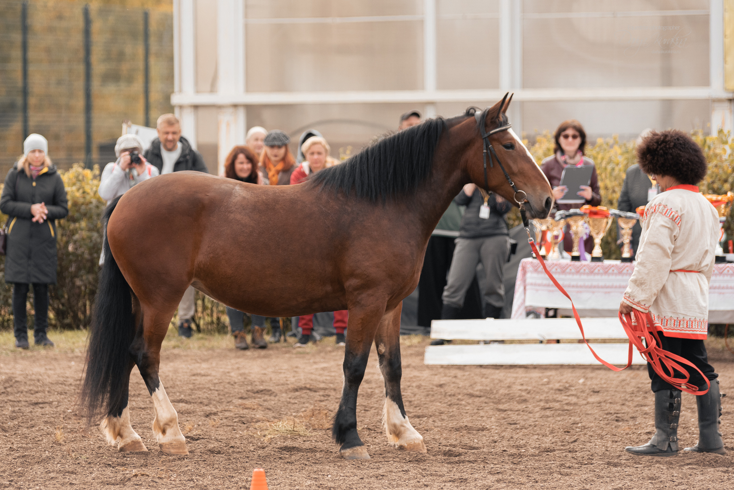 Богдарня. Конный фотограф Куракина Дарья • Фотосессии с лошадьми