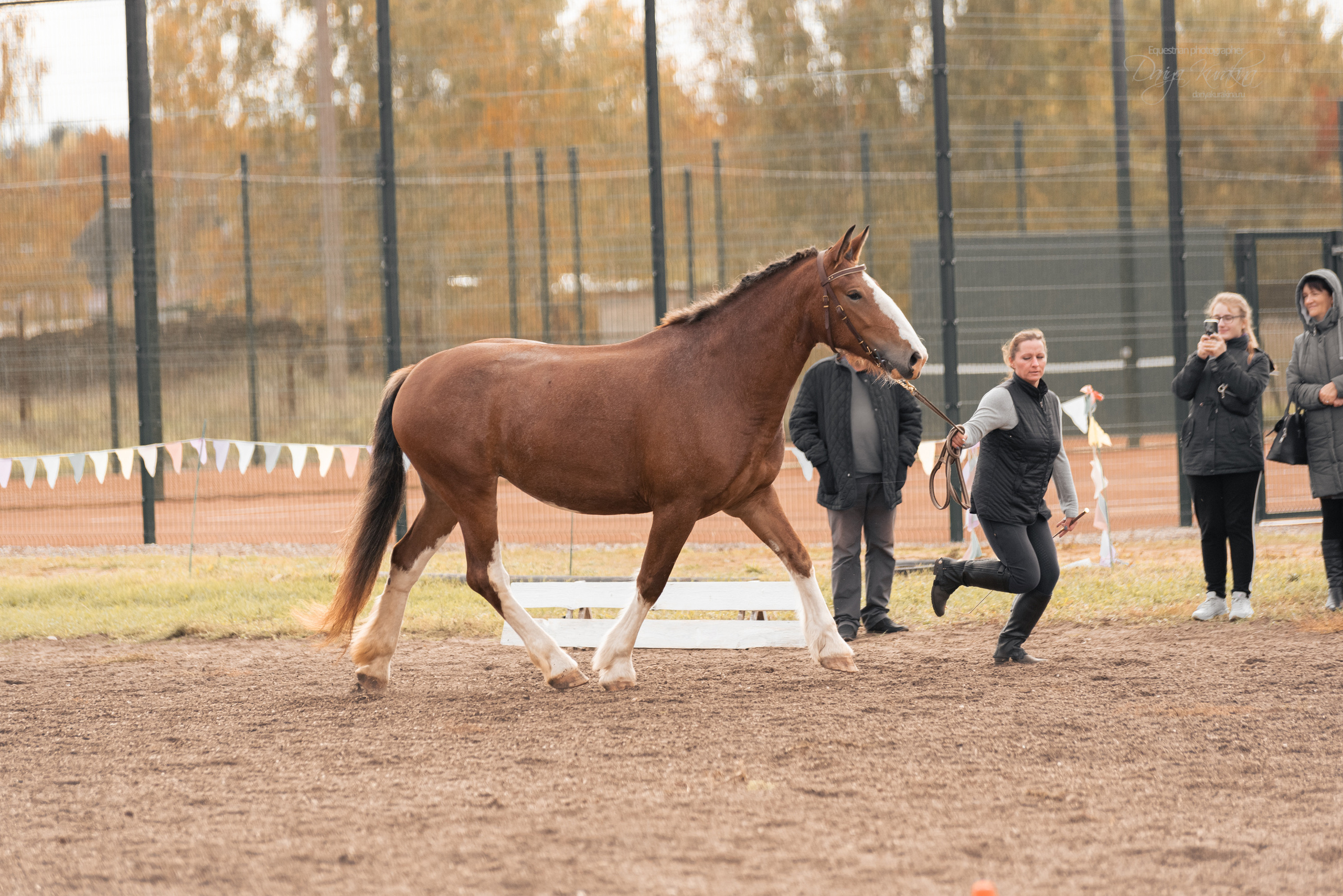 Богдарня. Конный фотограф Куракина Дарья • Фотосессии с лошадьми