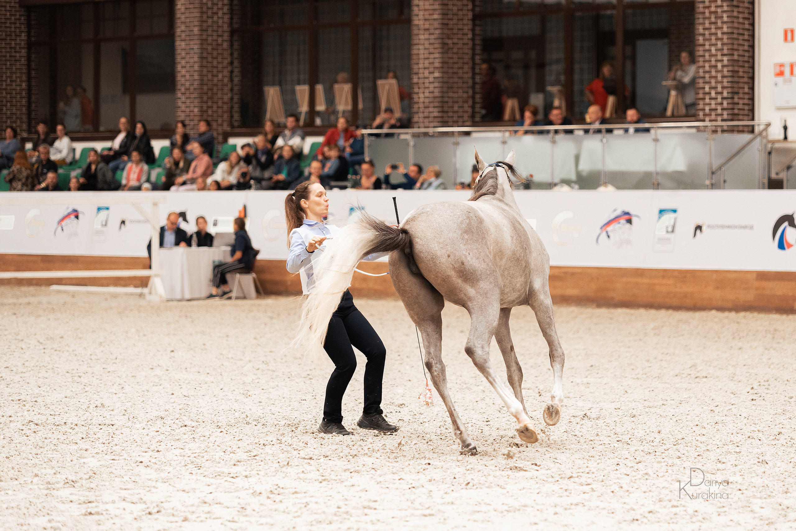 Конная Россия 2021. Конный фотограф Куракина Дарья • Фотосессии с лошадьми