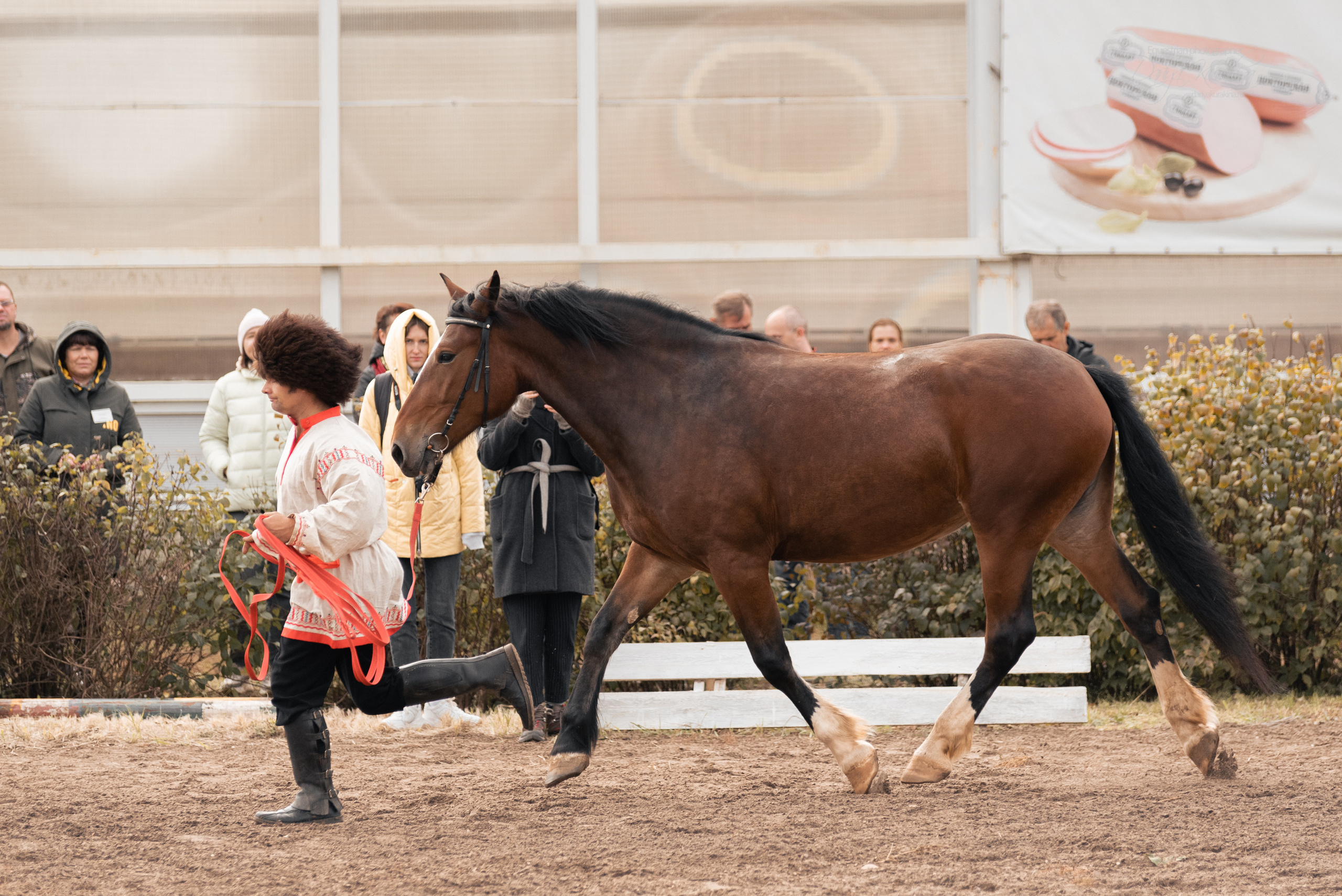 Богдарня. Конный фотограф Куракина Дарья • Фотосессии с лошадьми