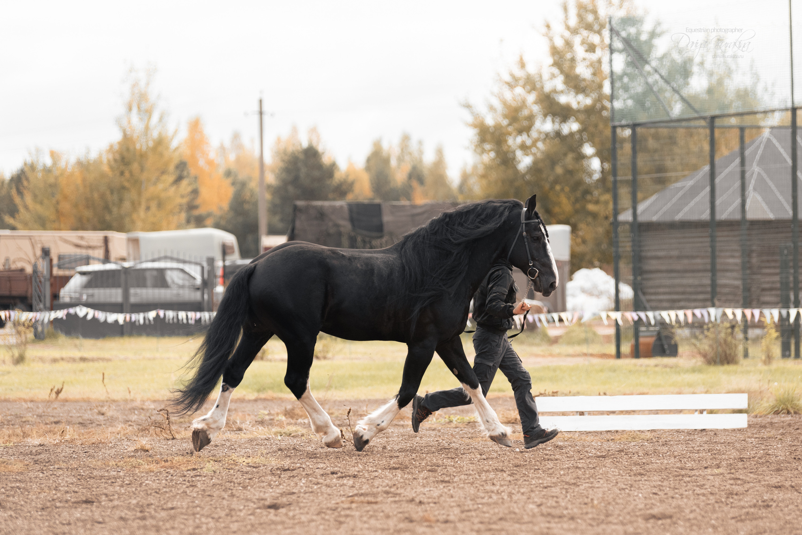 Богдарня. Конный фотограф Куракина Дарья • Фотосессии с лошадьми