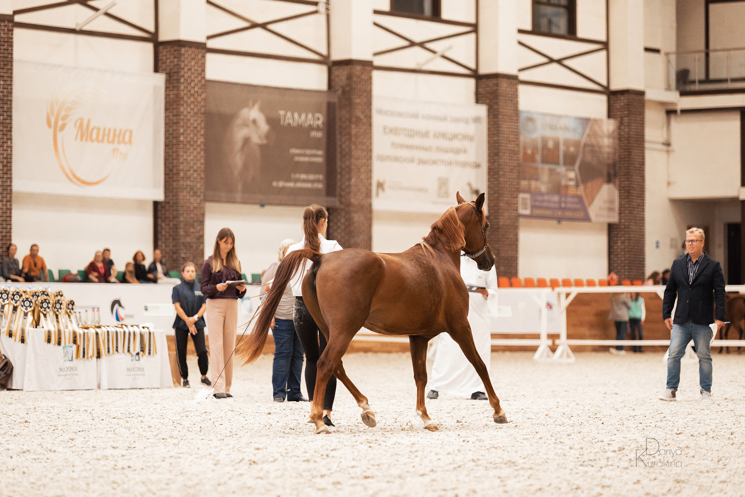 Конная Россия 2021. Конный фотограф Куракина Дарья • Фотосессии с лошадьми