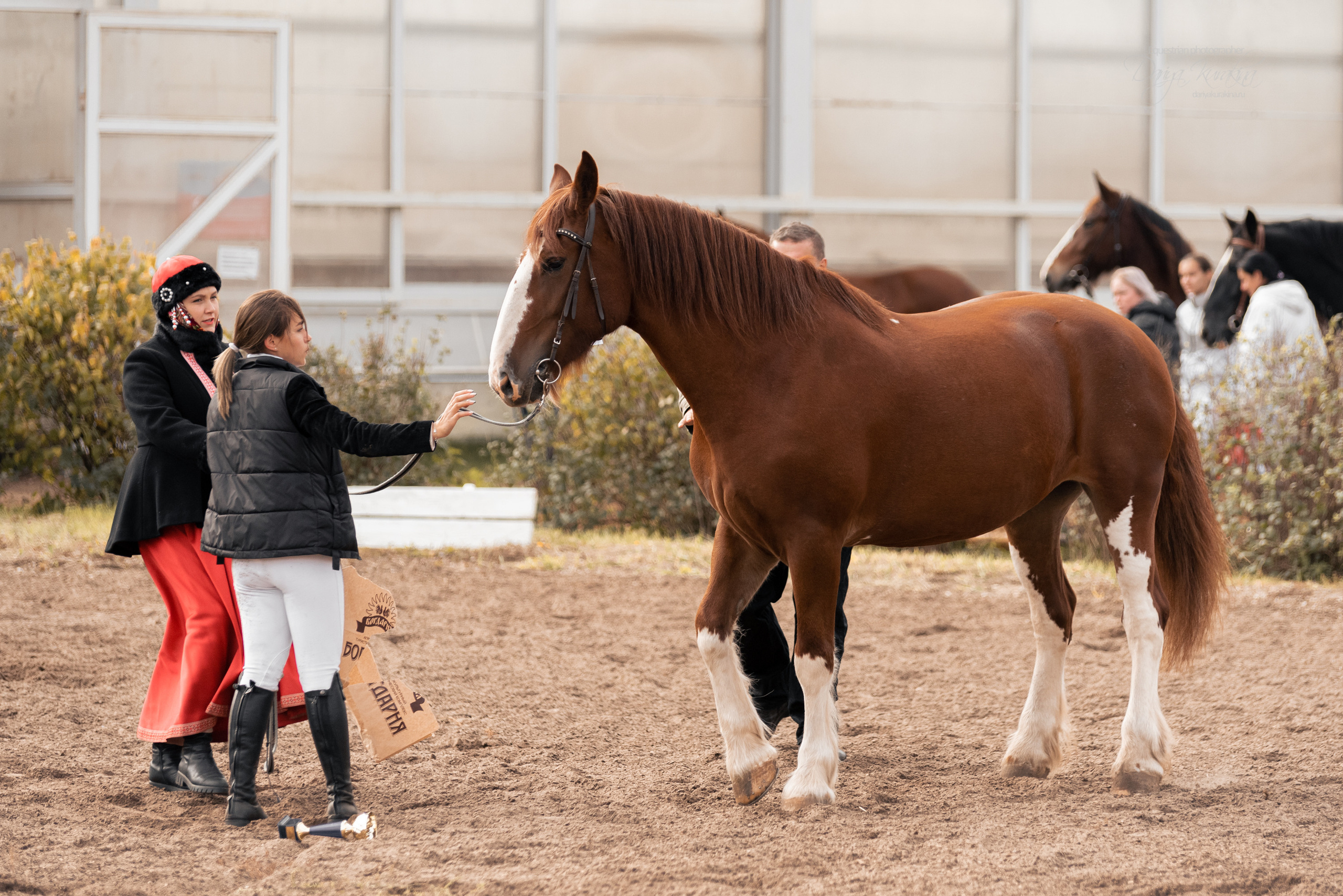 Богдарня. Конный фотограф Куракина Дарья • Фотосессии с лошадьми