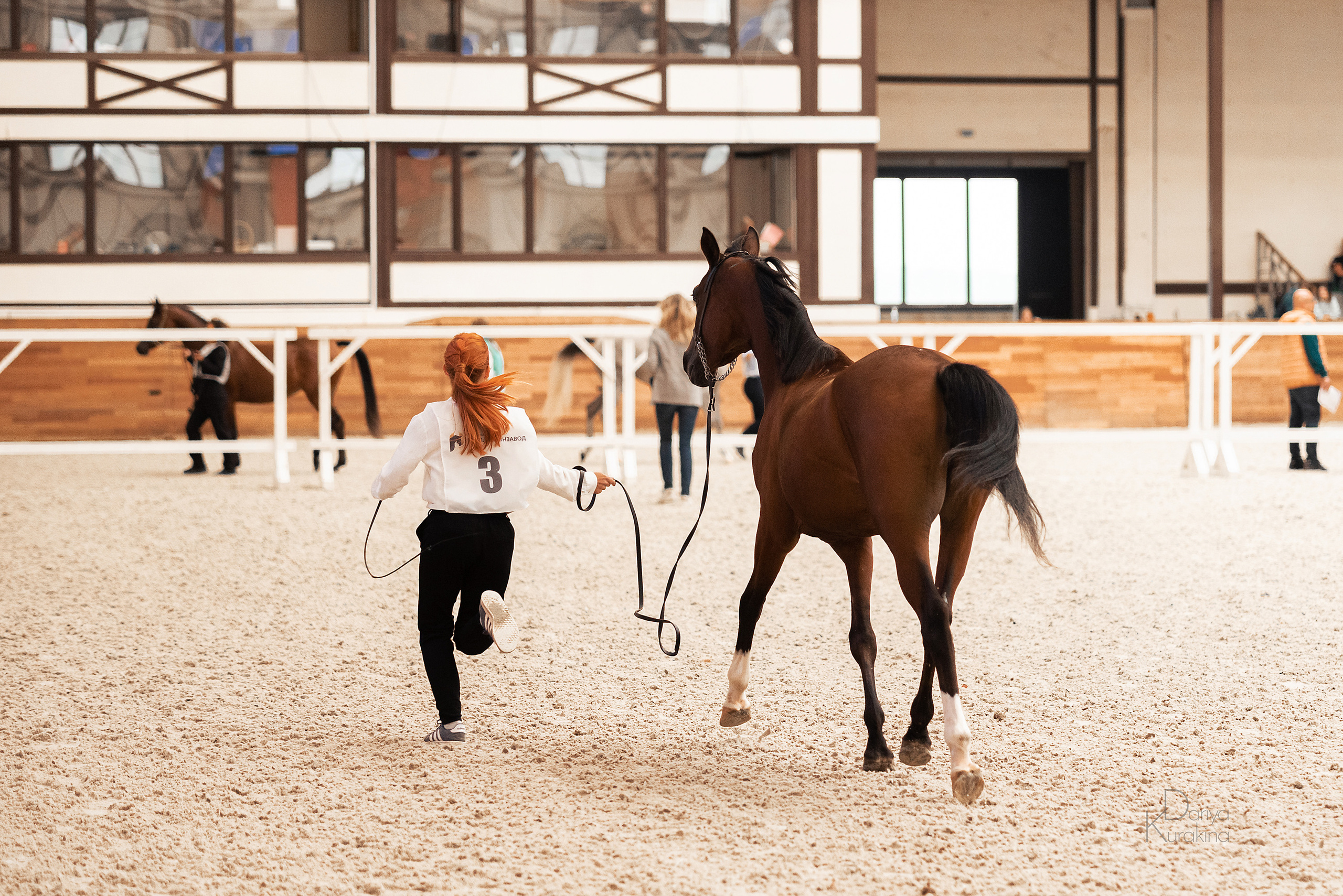 Конная Россия 2021. Конный фотограф Куракина Дарья • Фотосессии с лошадьми