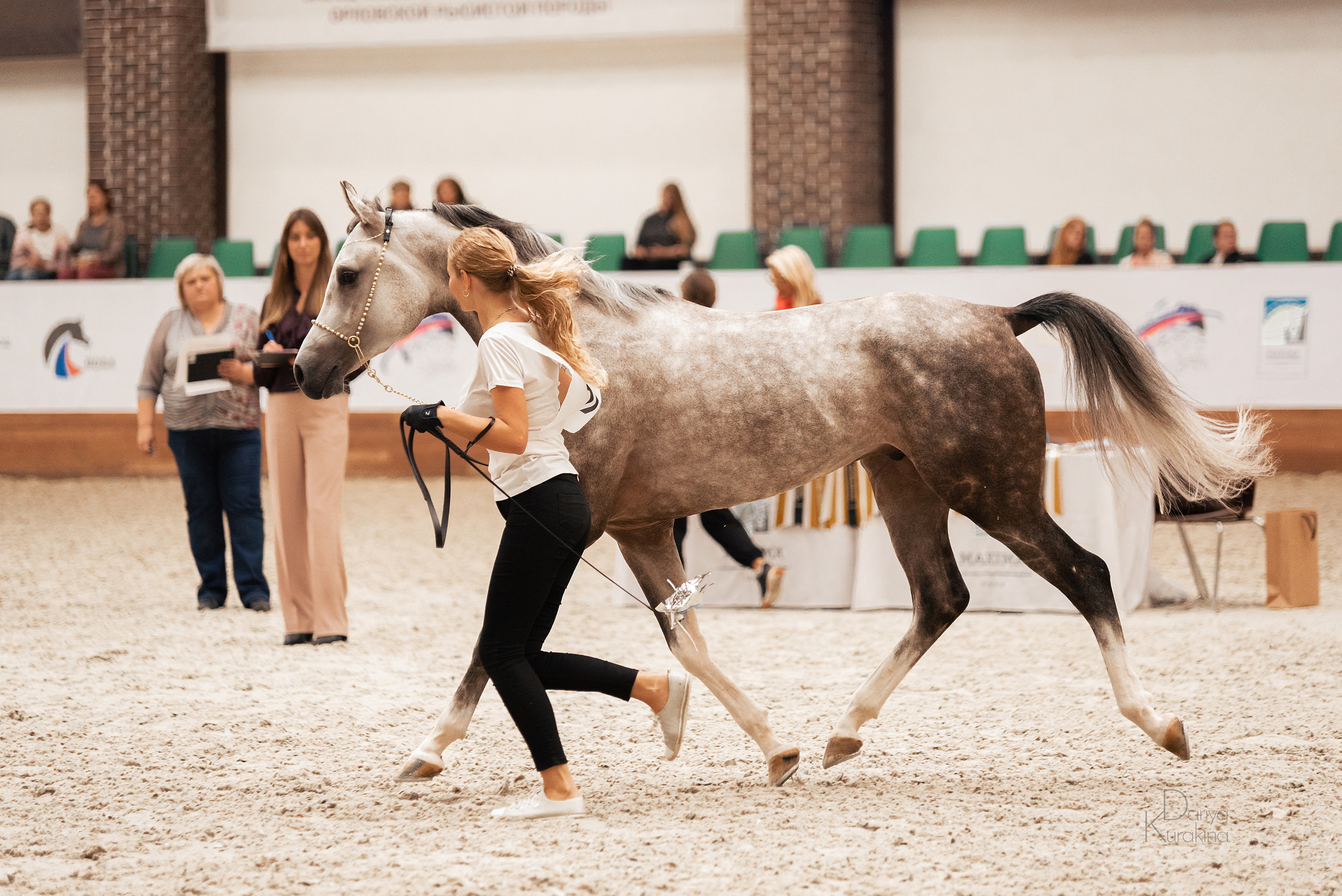 Конная Россия 2021. Конный фотограф Куракина Дарья • Фотосессии с лошадьми