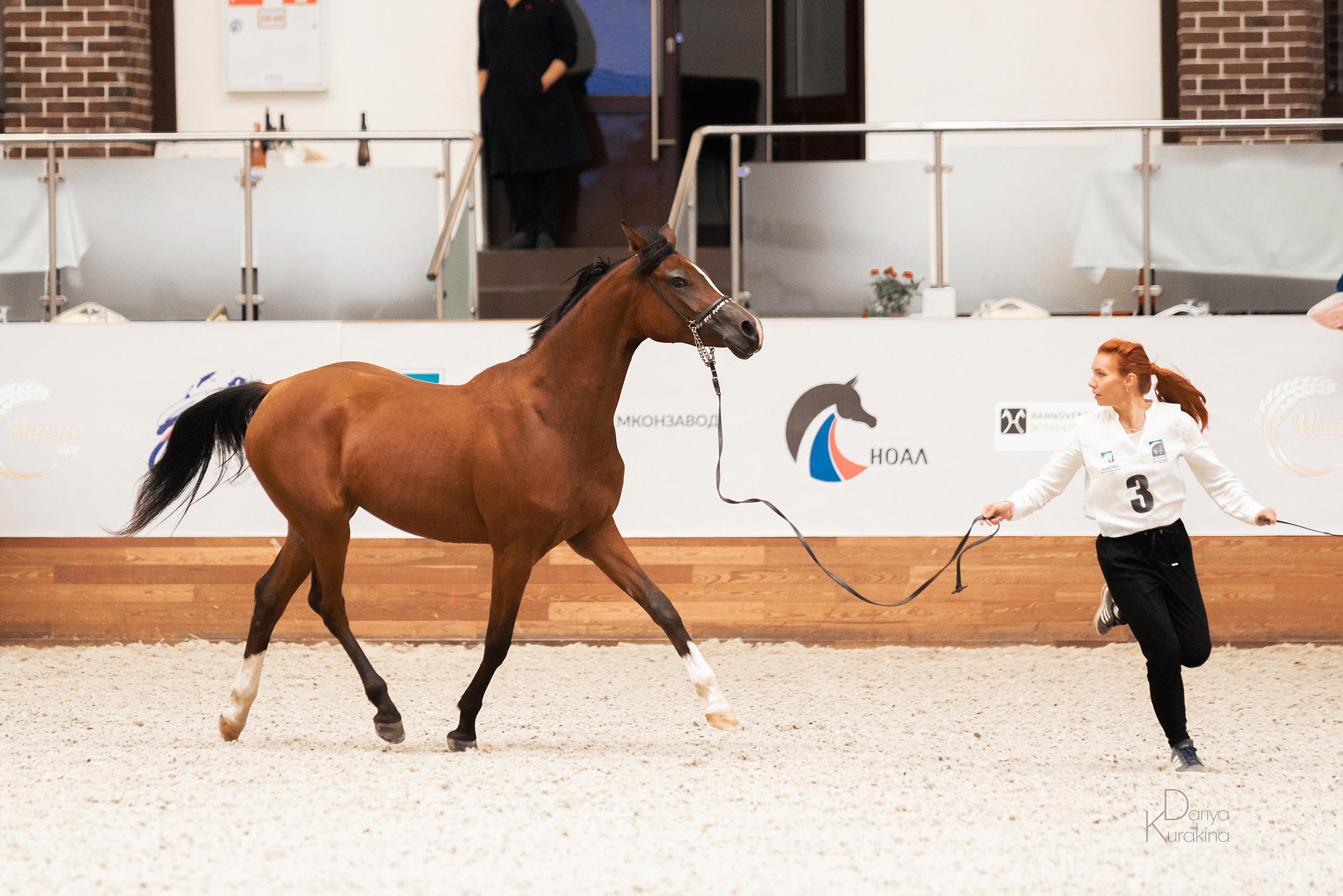 Конная Россия 2021. Конный фотограф Куракина Дарья • Фотосессии с лошадьми