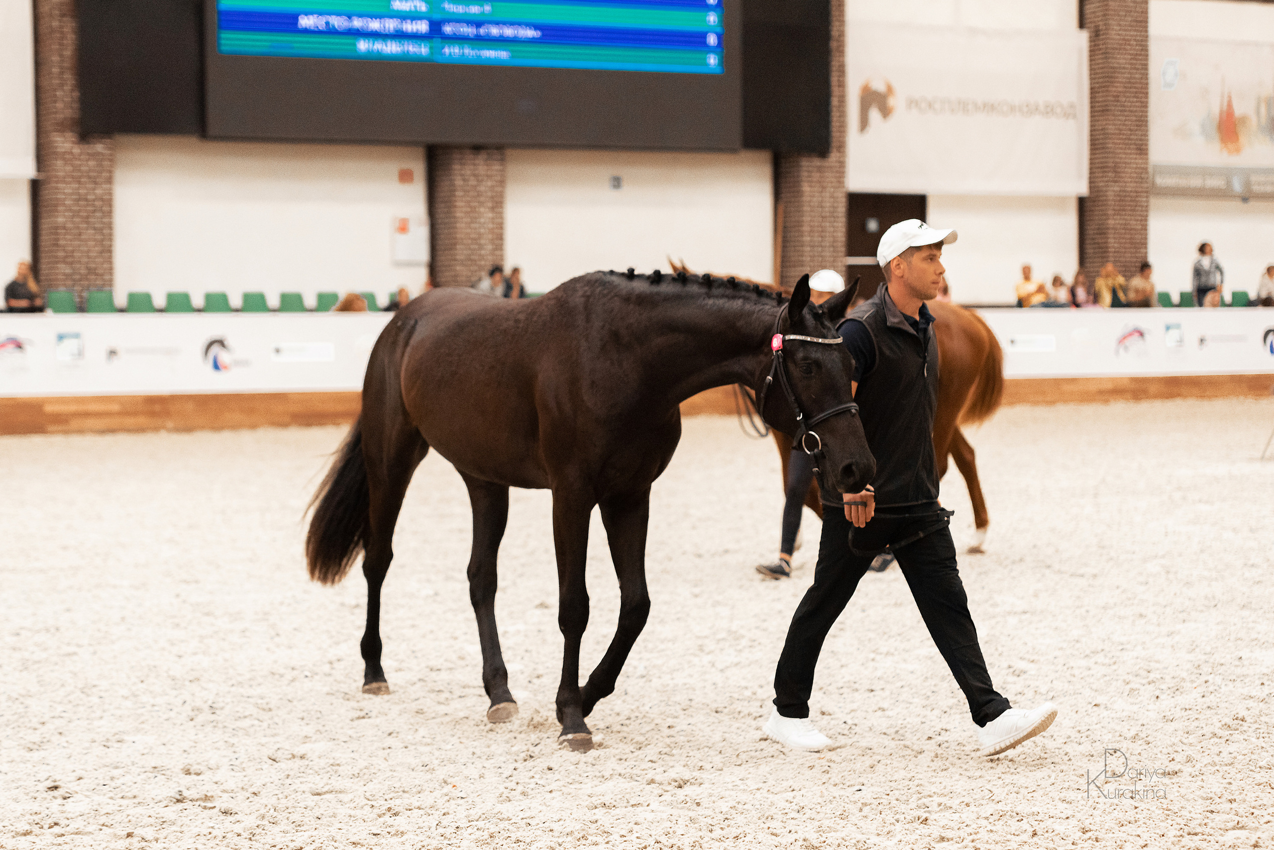Конная Россия 2021. Конный фотограф Куракина Дарья • Фотосессии с лошадьми