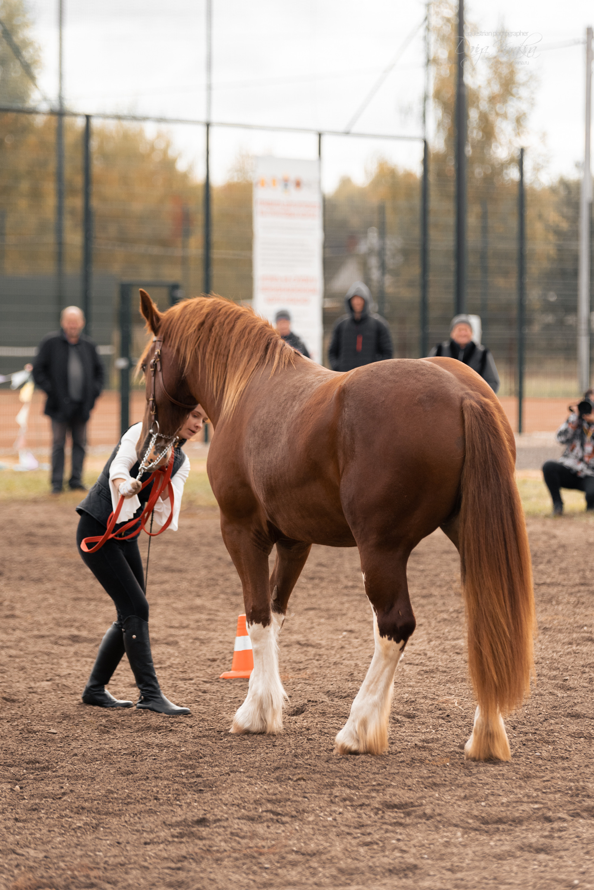 Богдарня. Конный фотограф Куракина Дарья • Фотосессии с лошадьми
