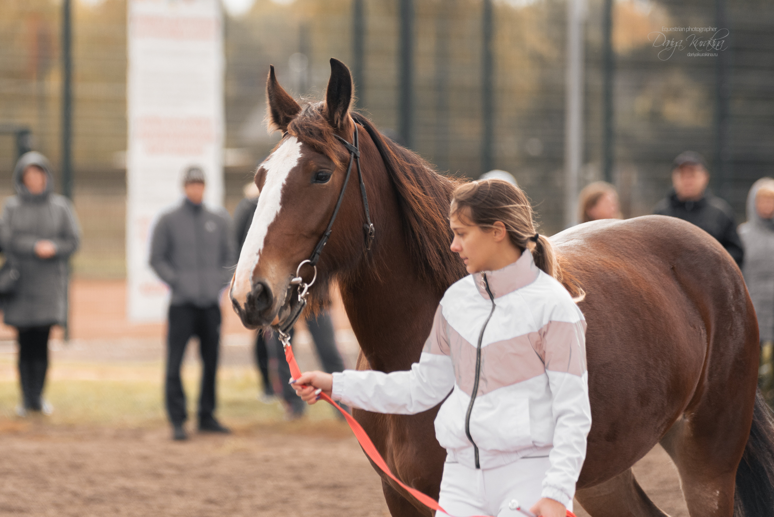 Богдарня. Конный фотограф Куракина Дарья • Фотосессии с лошадьми
