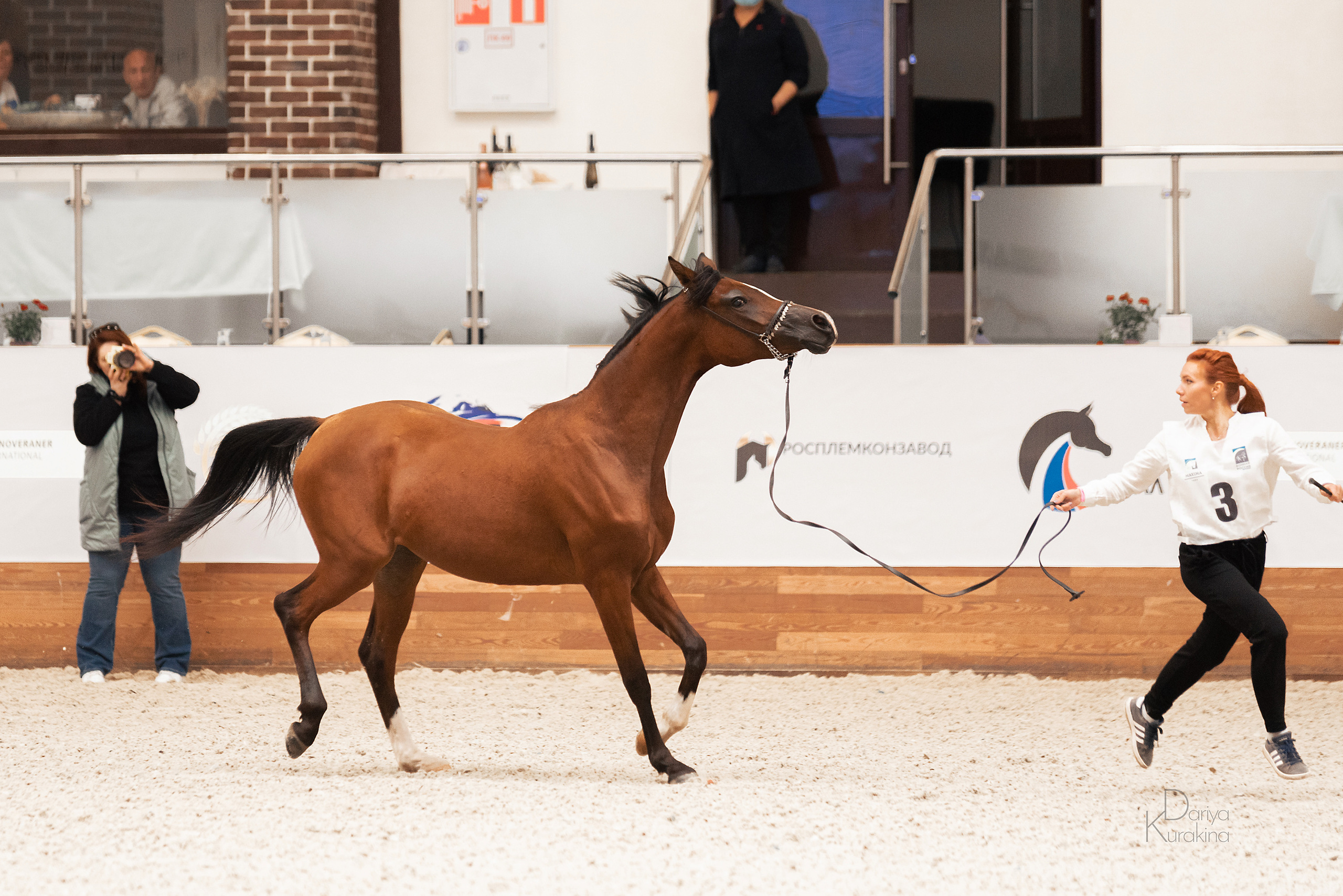 Конная Россия 2021. Конный фотограф Куракина Дарья • Фотосессии с лошадьми