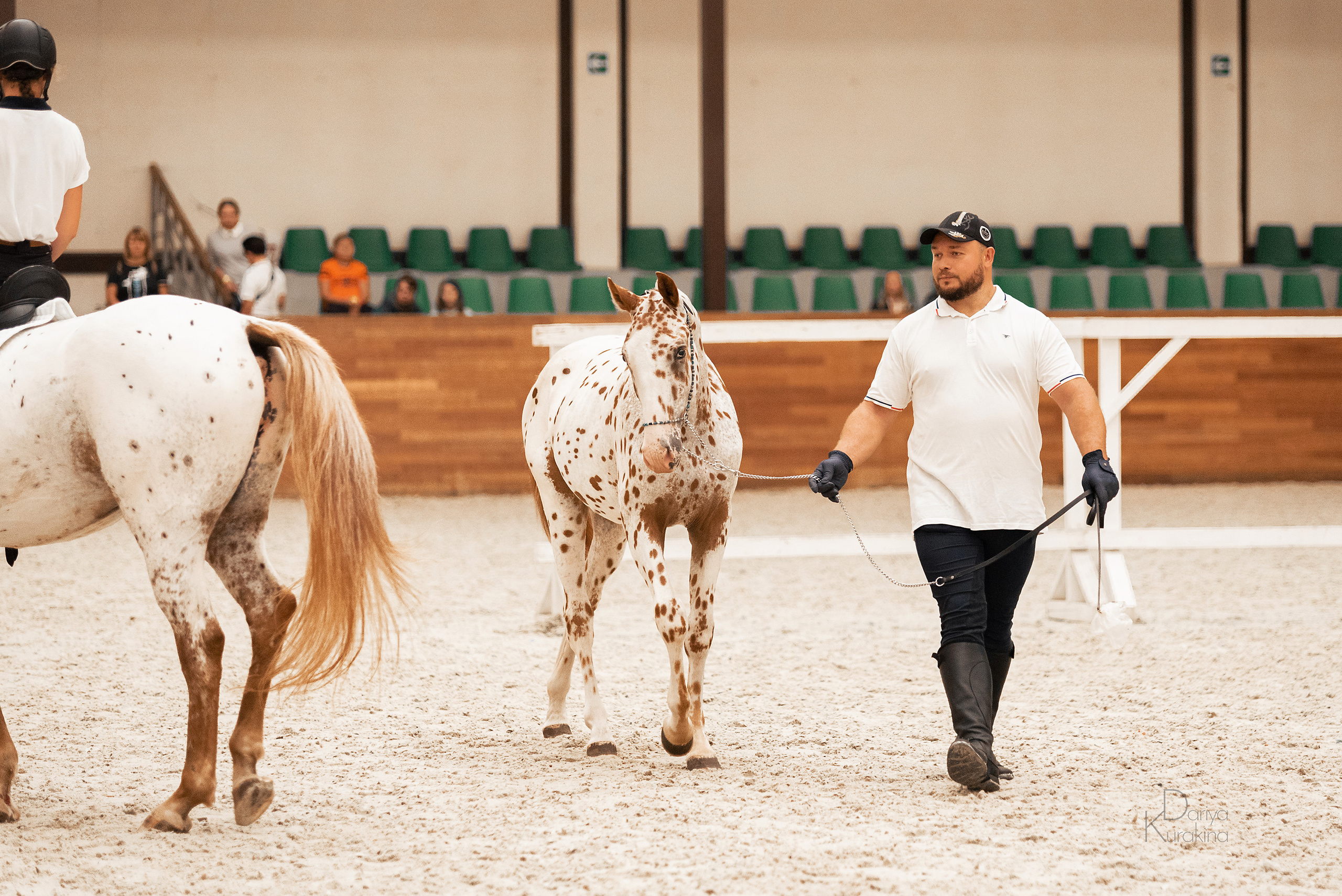 Конная Россия 2021. Конный фотограф Куракина Дарья • Фотосессии с лошадьми