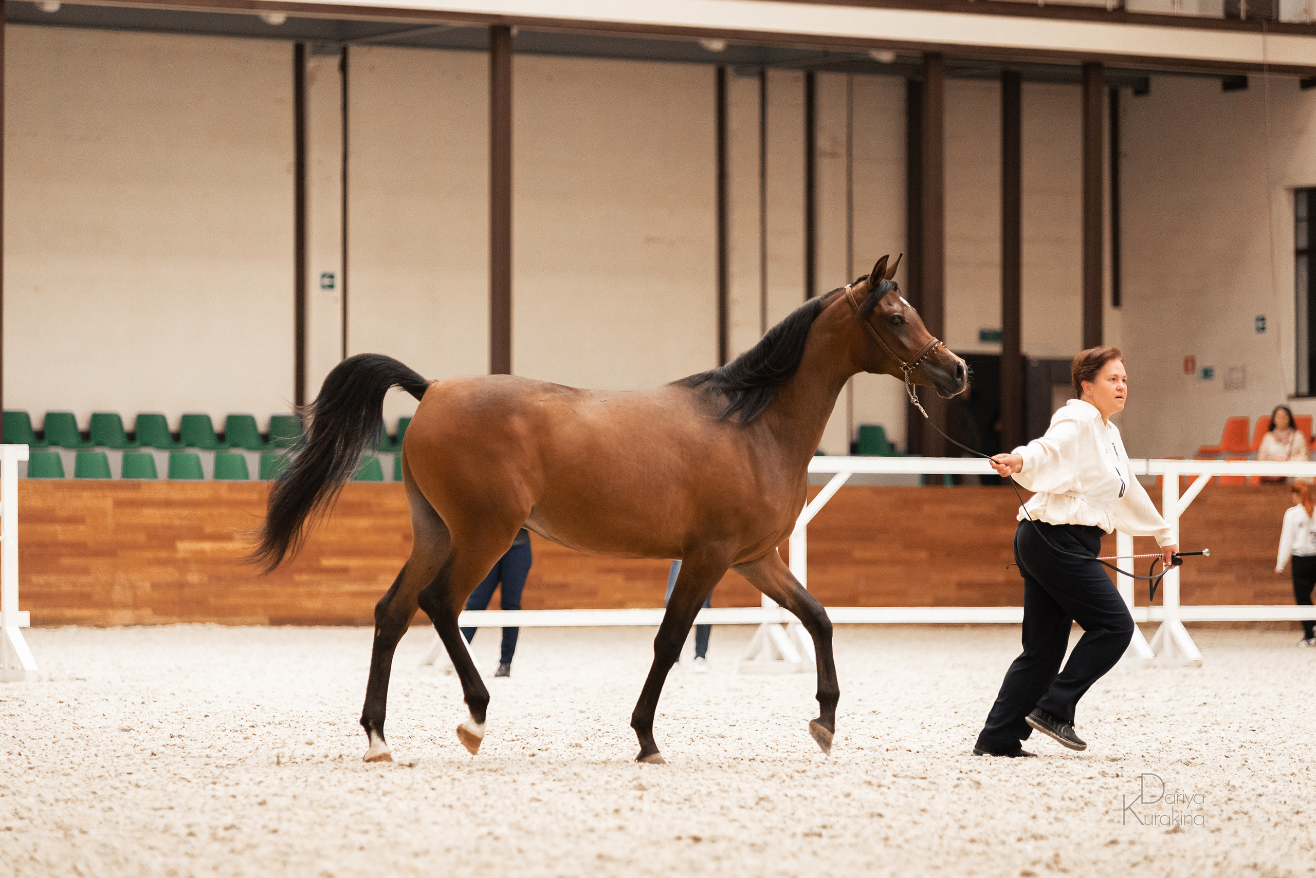 Конная Россия 2021. Конный фотограф Куракина Дарья • Фотосессии с лошадьми
