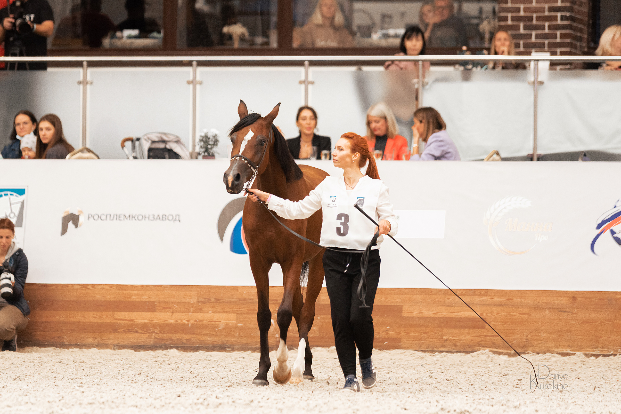 Конная Россия 2021. Конный фотограф Куракина Дарья • Фотосессии с лошадьми