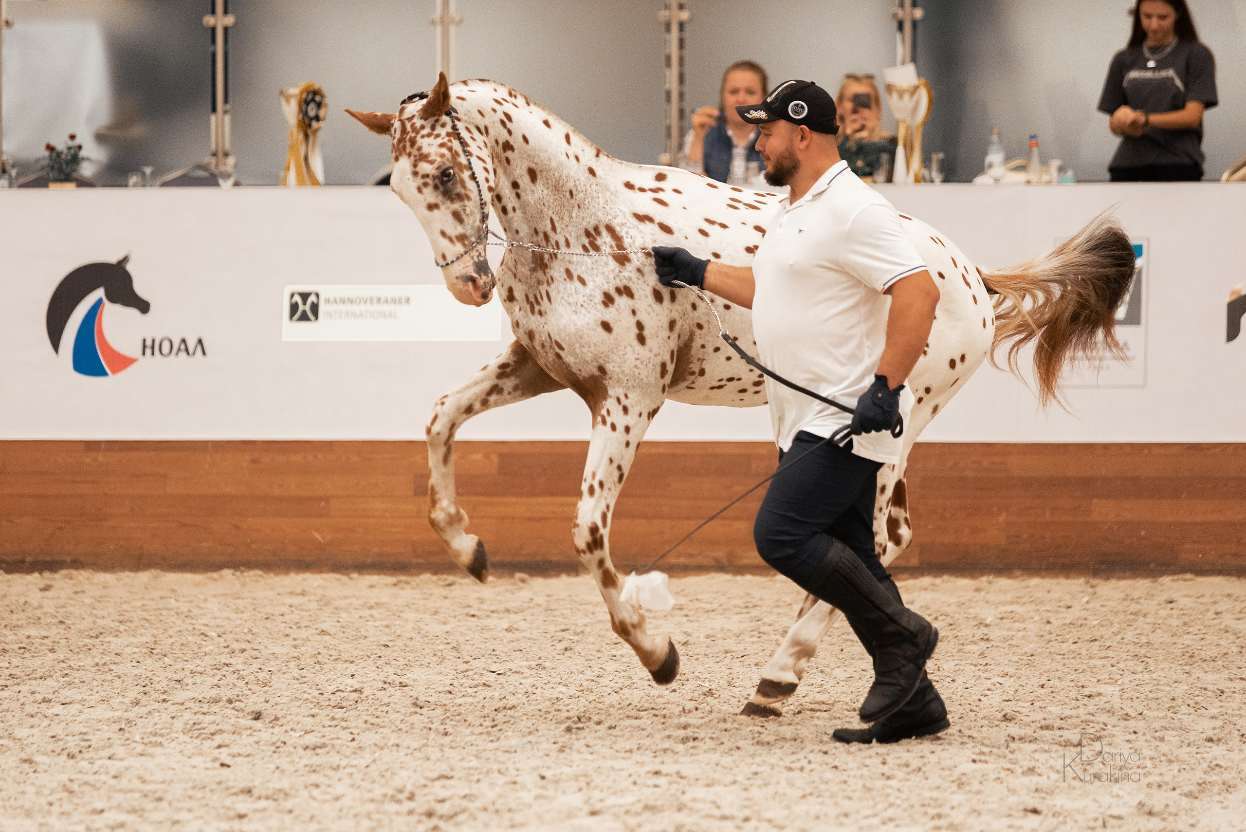 Конная Россия 2021. Конный фотограф Куракина Дарья • Фотосессии с лошадьми