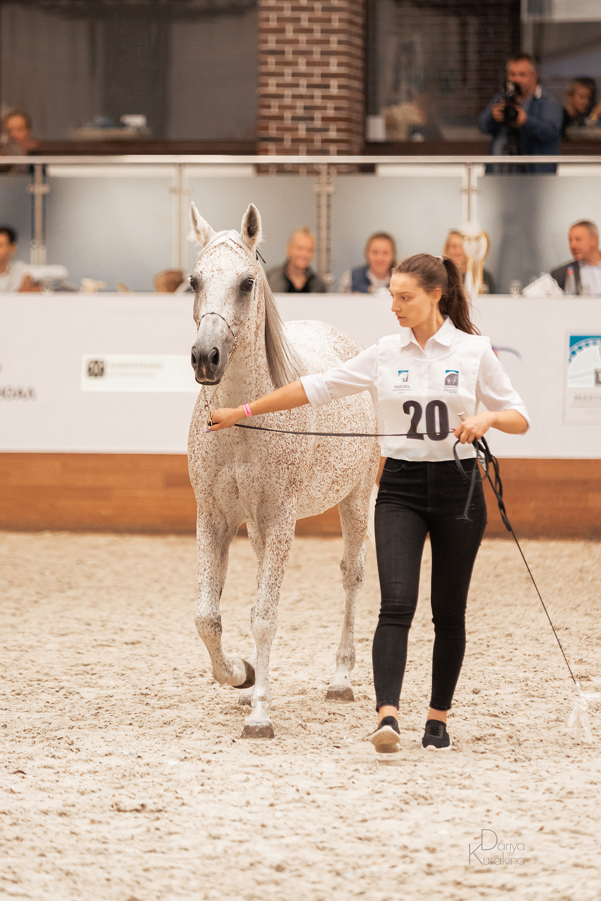 Конная Россия 2021. Конный фотограф Куракина Дарья • Фотосессии с лошадьми