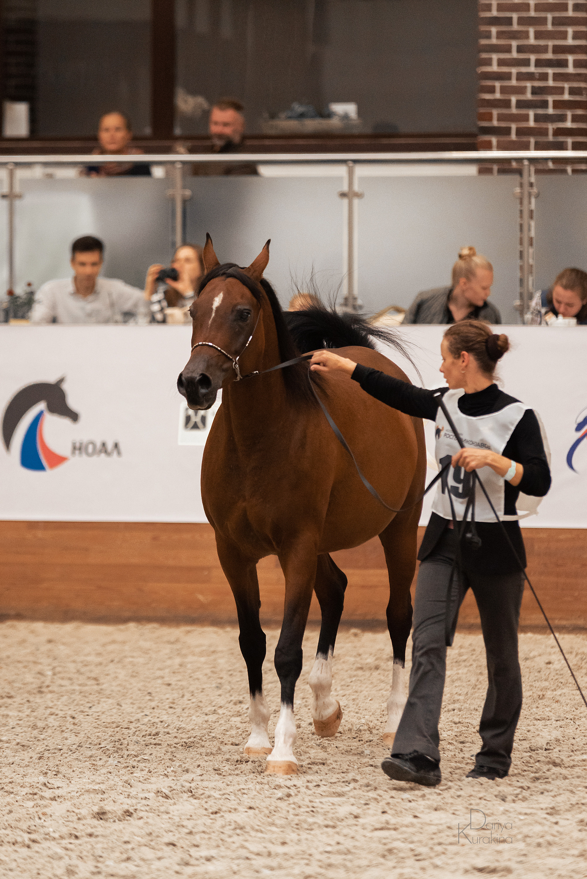 Конная Россия 2021. Конный фотограф Куракина Дарья • Фотосессии с лошадьми