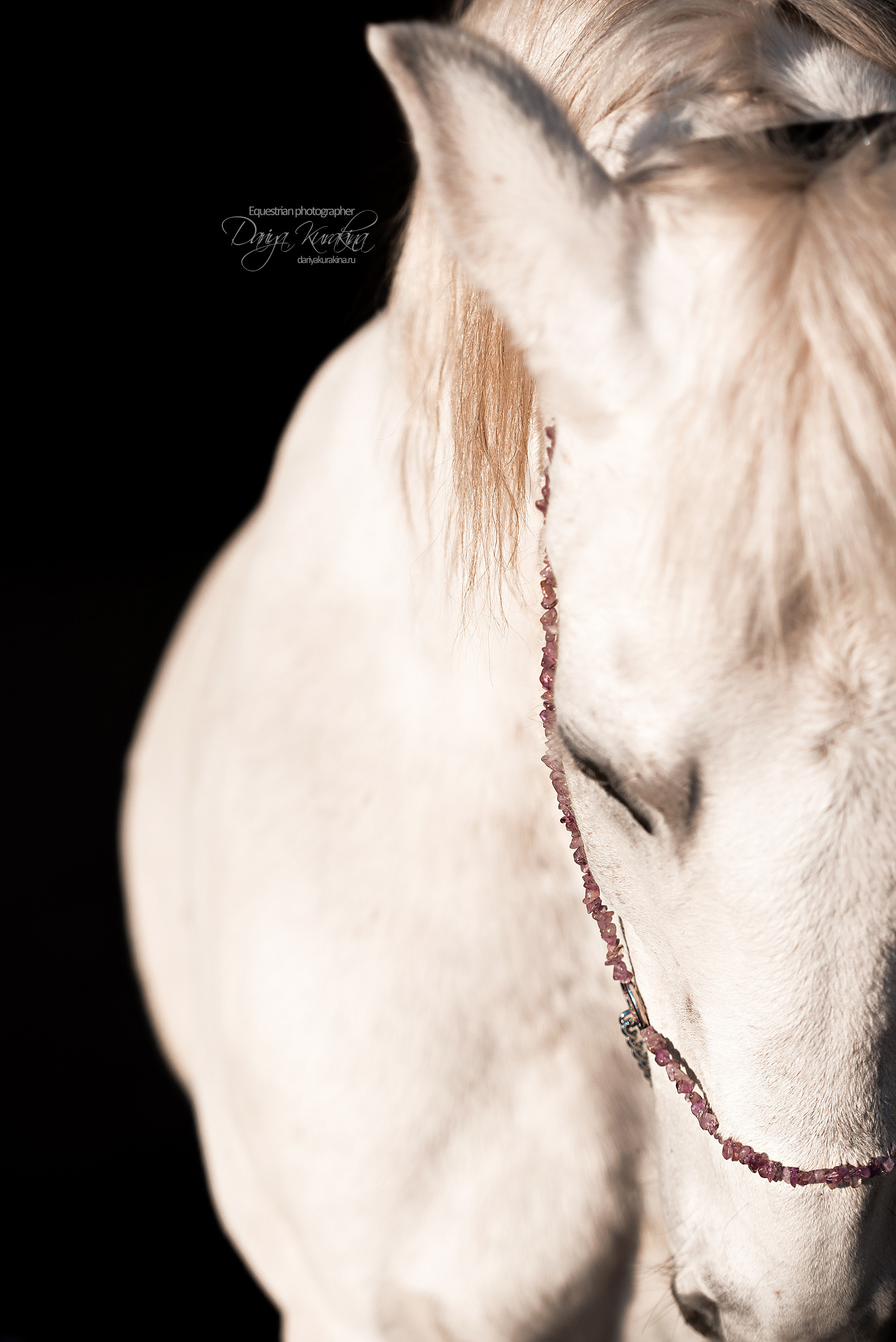 Сияние. Конный фотограф Куракина Дарья • Фотосессии с лошадьми