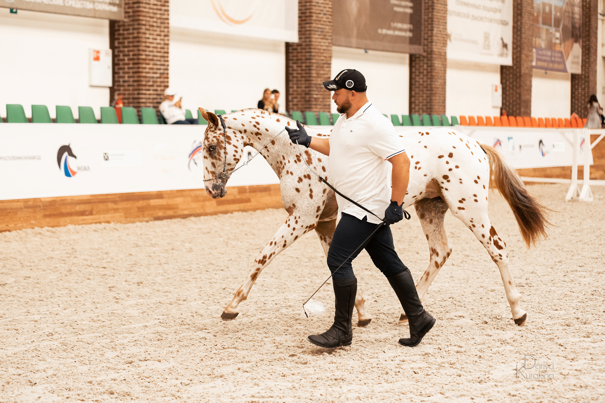 Конная Россия 2021. Конный фотограф Куракина Дарья • Фотосессии с лошадьми