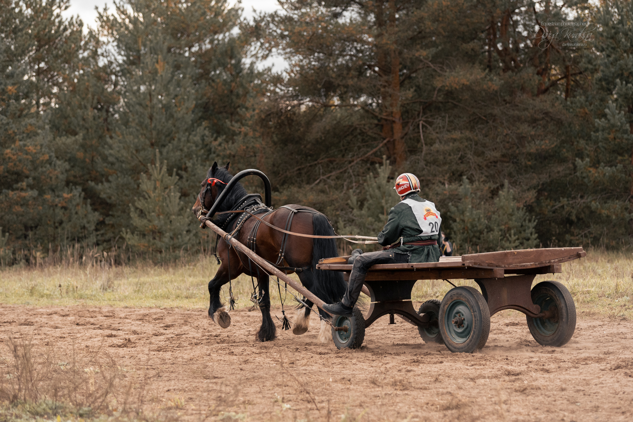 Богдарня. Конный фотограф Куракина Дарья • Фотосессии с лошадьми