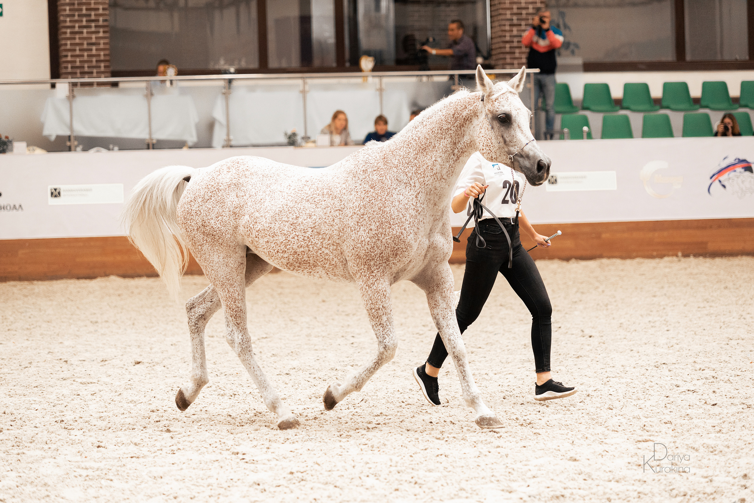 Конная Россия 2021. Конный фотограф Куракина Дарья • Фотосессии с лошадьми