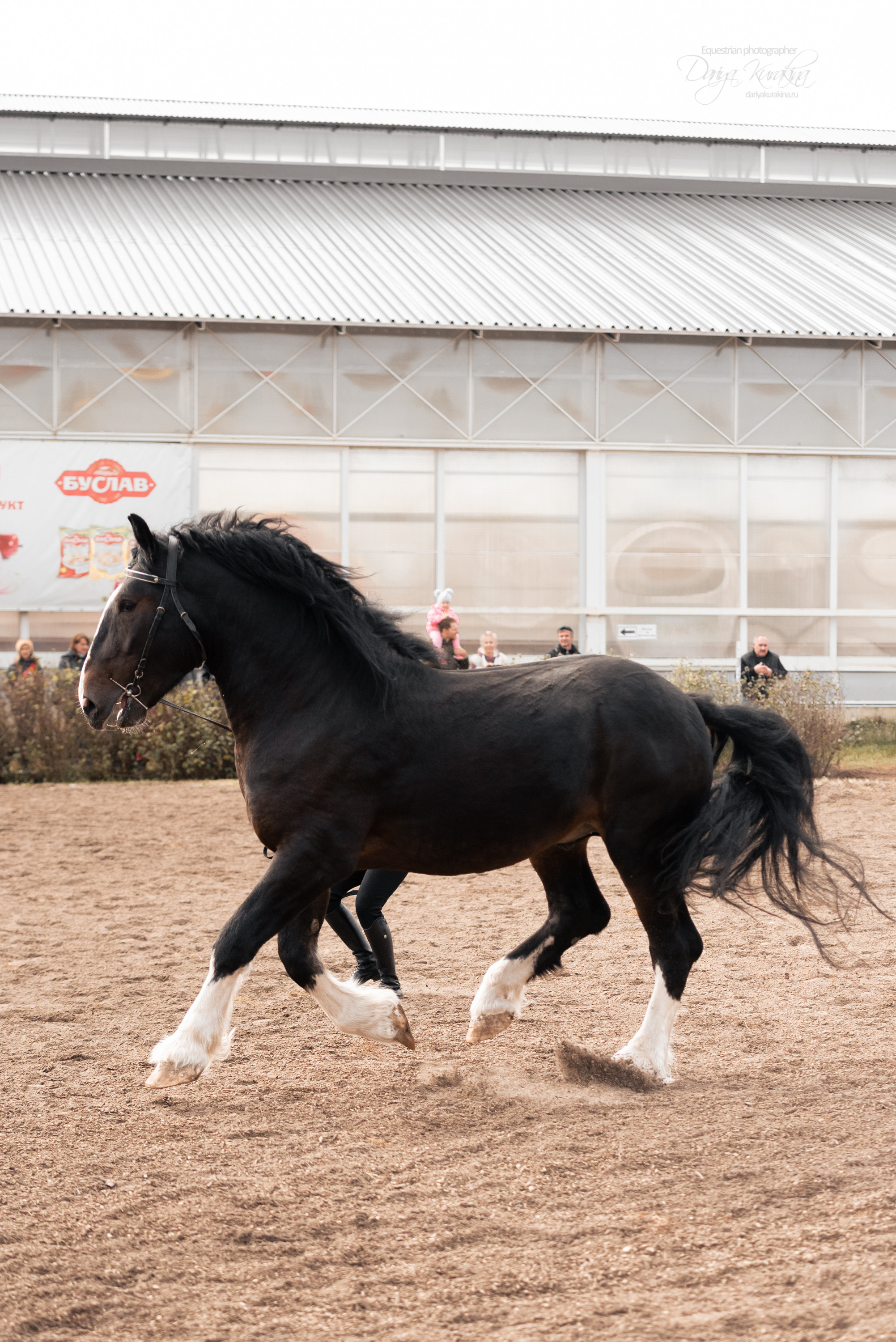 Богдарня. Конный фотограф Куракина Дарья • Фотосессии с лошадьми