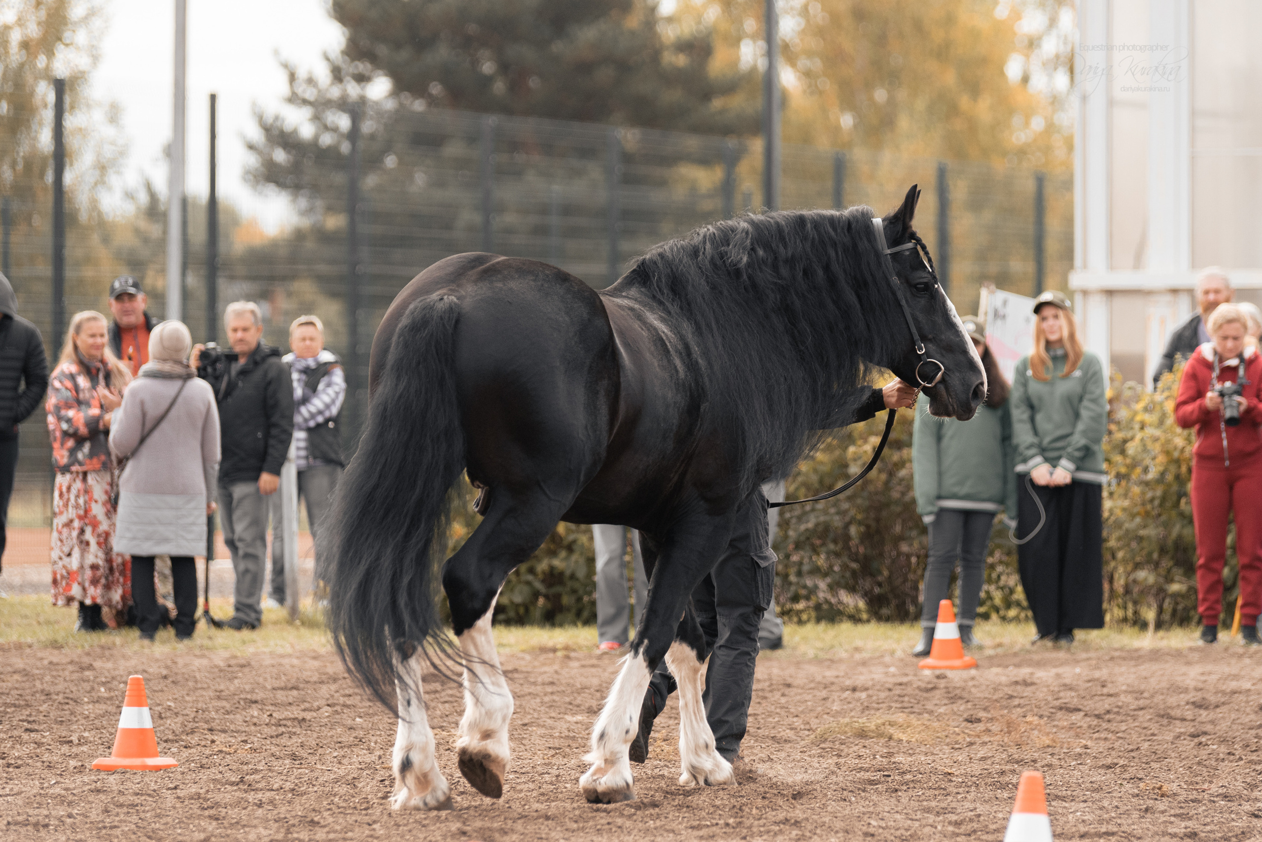 Богдарня. Конный фотограф Куракина Дарья • Фотосессии с лошадьми