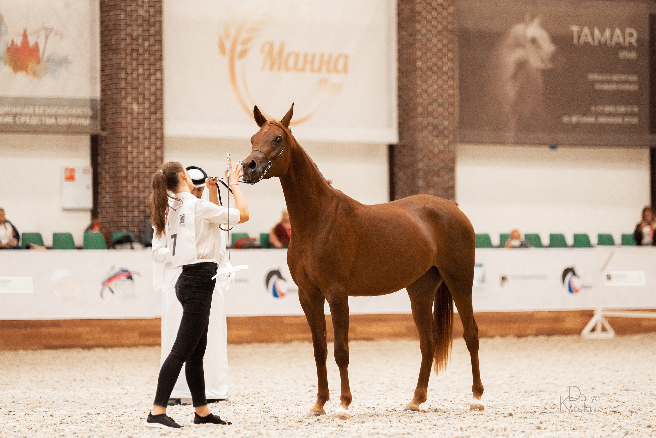 Конная Россия 2021. Конный фотограф Куракина Дарья • Фотосессии с лошадьми