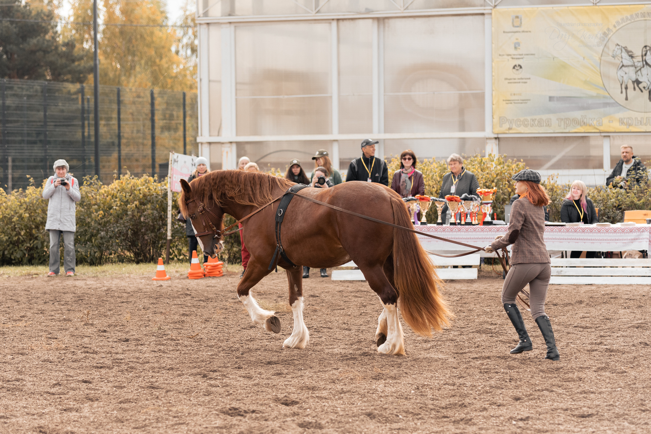 Богдарня. Конный фотограф Куракина Дарья • Фотосессии с лошадьми