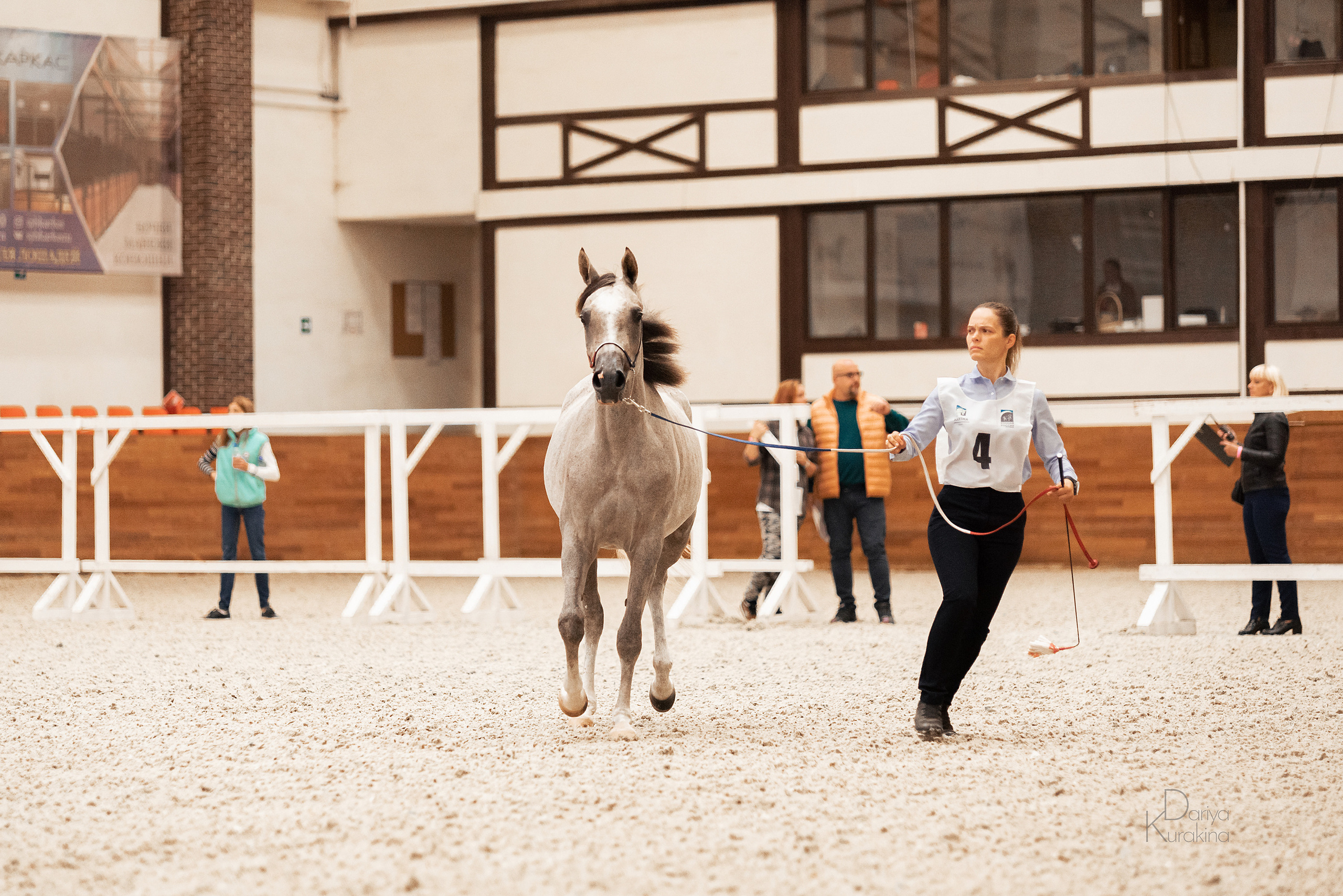 Конная Россия 2021. Конный фотограф Куракина Дарья • Фотосессии с лошадьми
