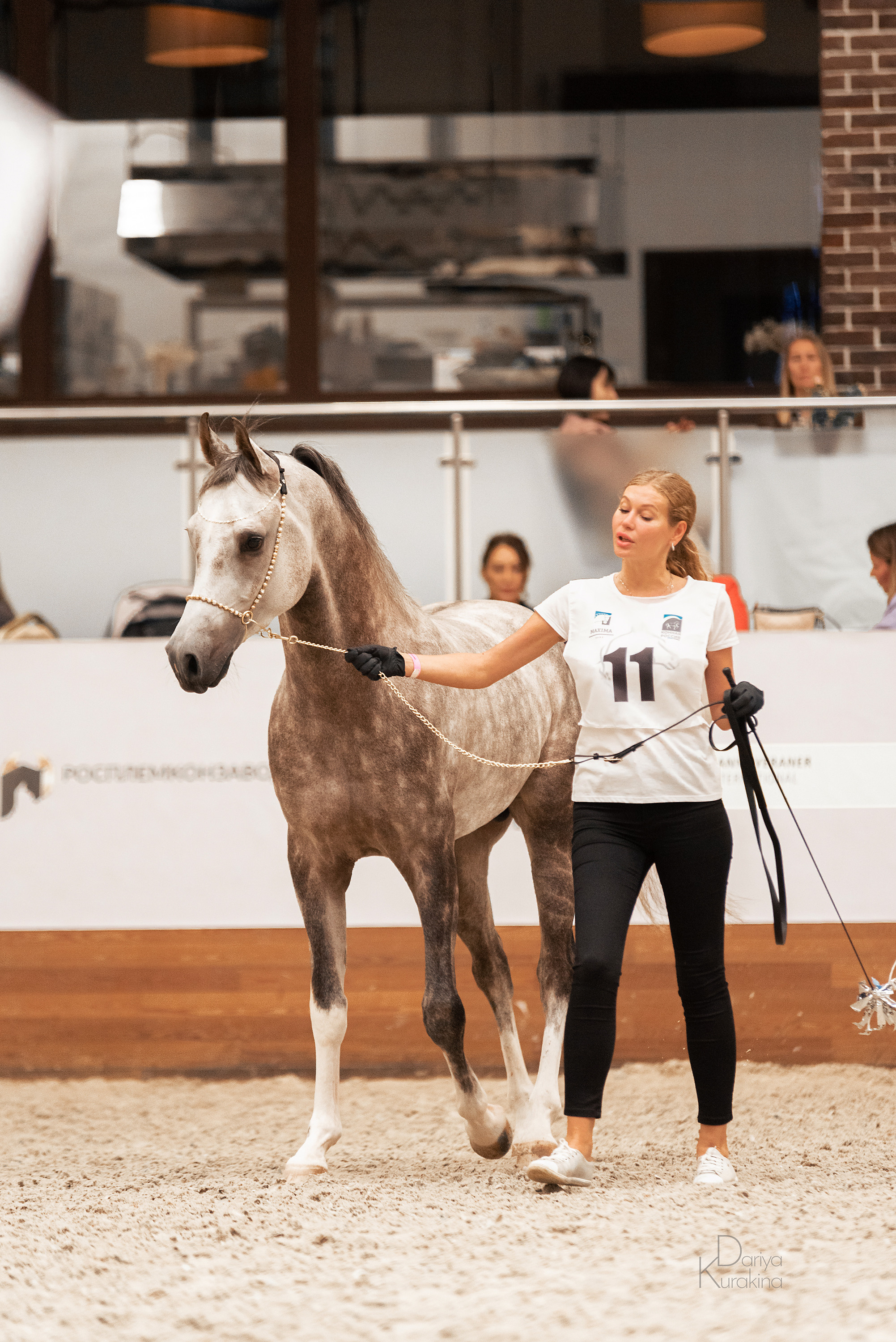 Конная Россия 2021. Конный фотограф Куракина Дарья • Фотосессии с лошадьми