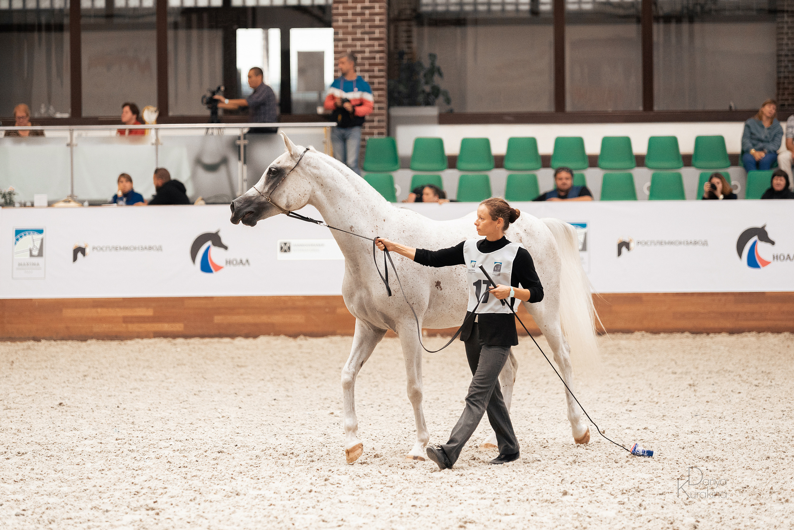 Конная Россия 2021. Конный фотограф Куракина Дарья • Фотосессии с лошадьми