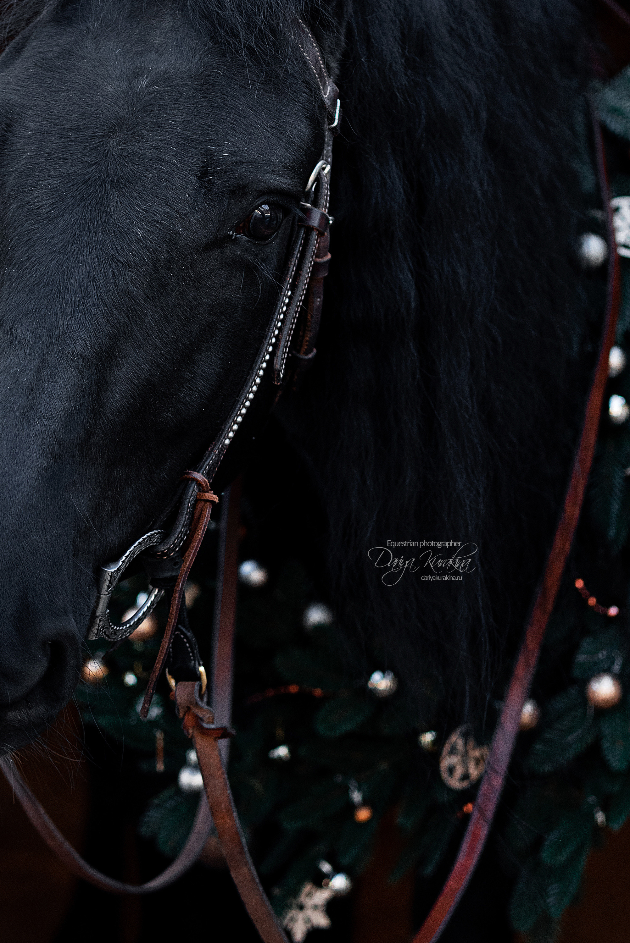 Лера и Бейлис. Конный фотограф Куракина Дарья • Фотосессии с лошадьми