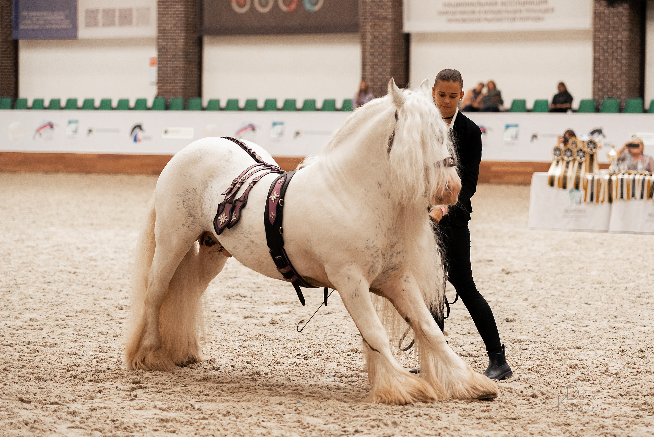 Конная Россия 2021. Конный фотограф Куракина Дарья • Фотосессии с лошадьми