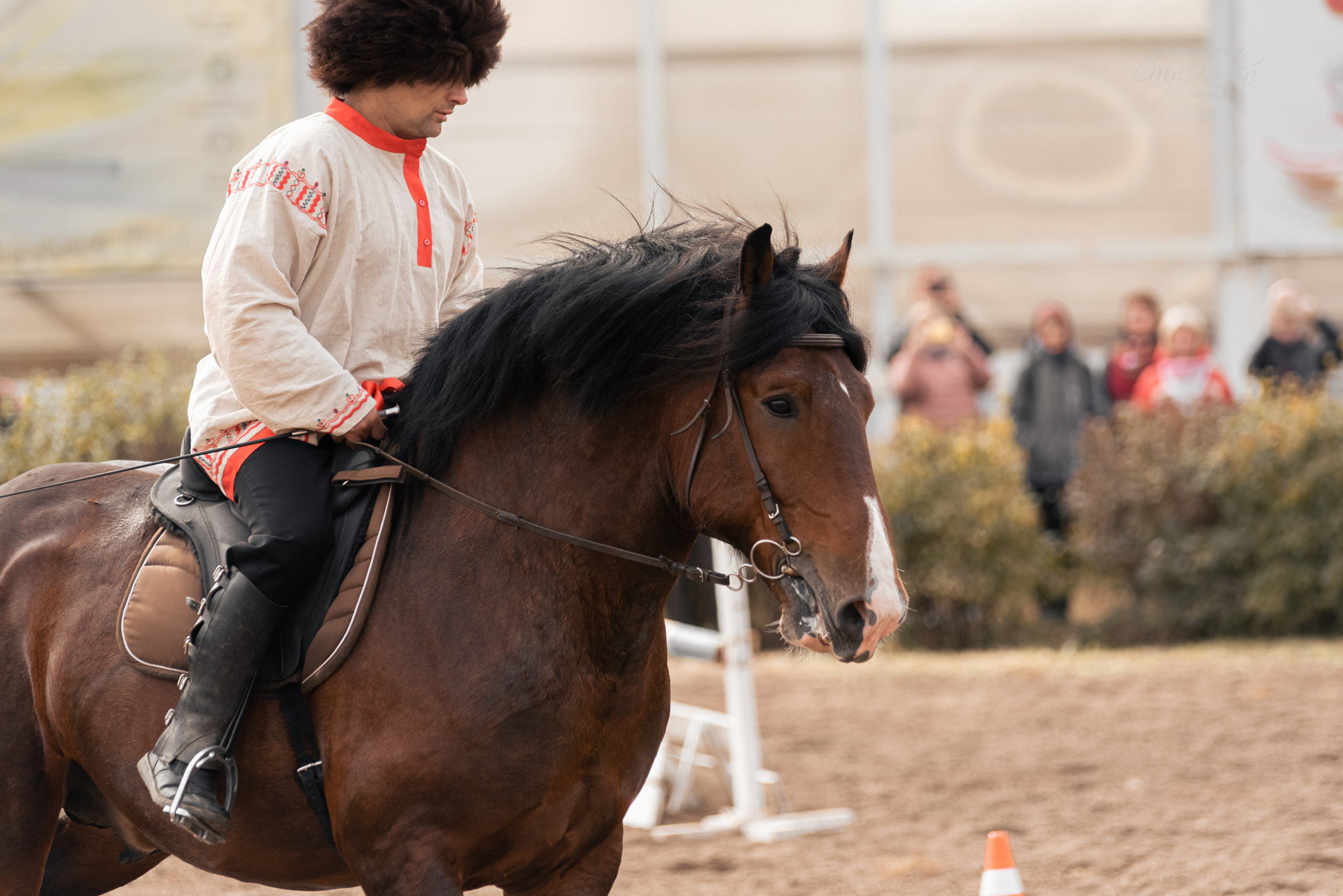 Богдарня. Конный фотограф Куракина Дарья • Фотосессии с лошадьми