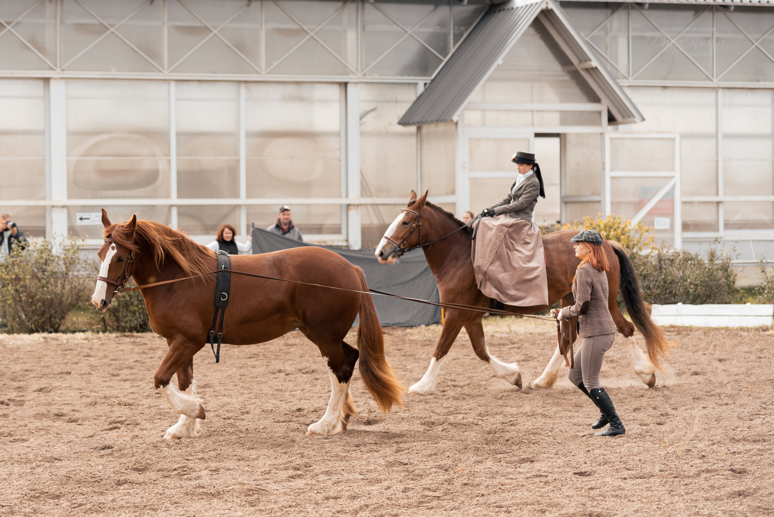 Богдарня. Конный фотограф Куракина Дарья • Фотосессии с лошадьми