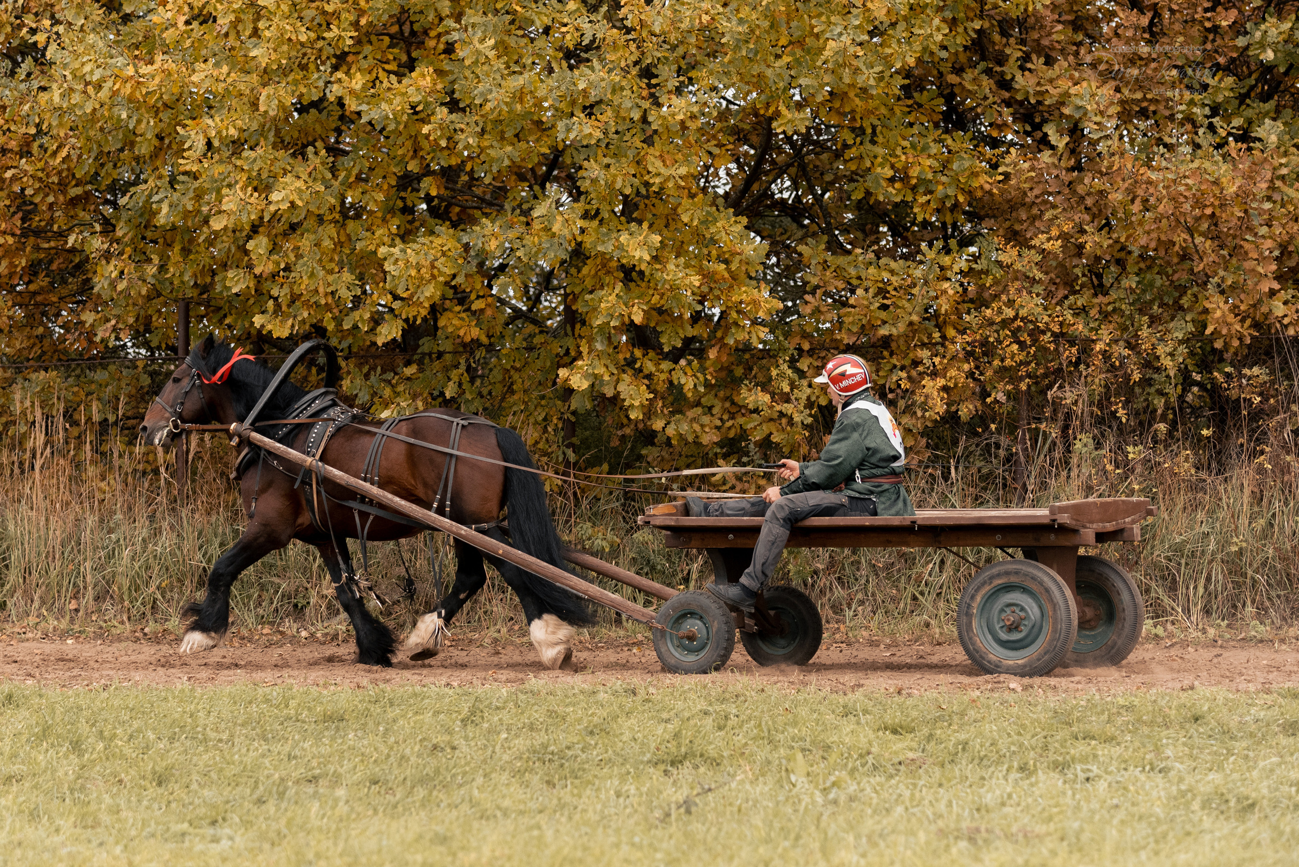 Богдарня. Конный фотограф Куракина Дарья • Фотосессии с лошадьми