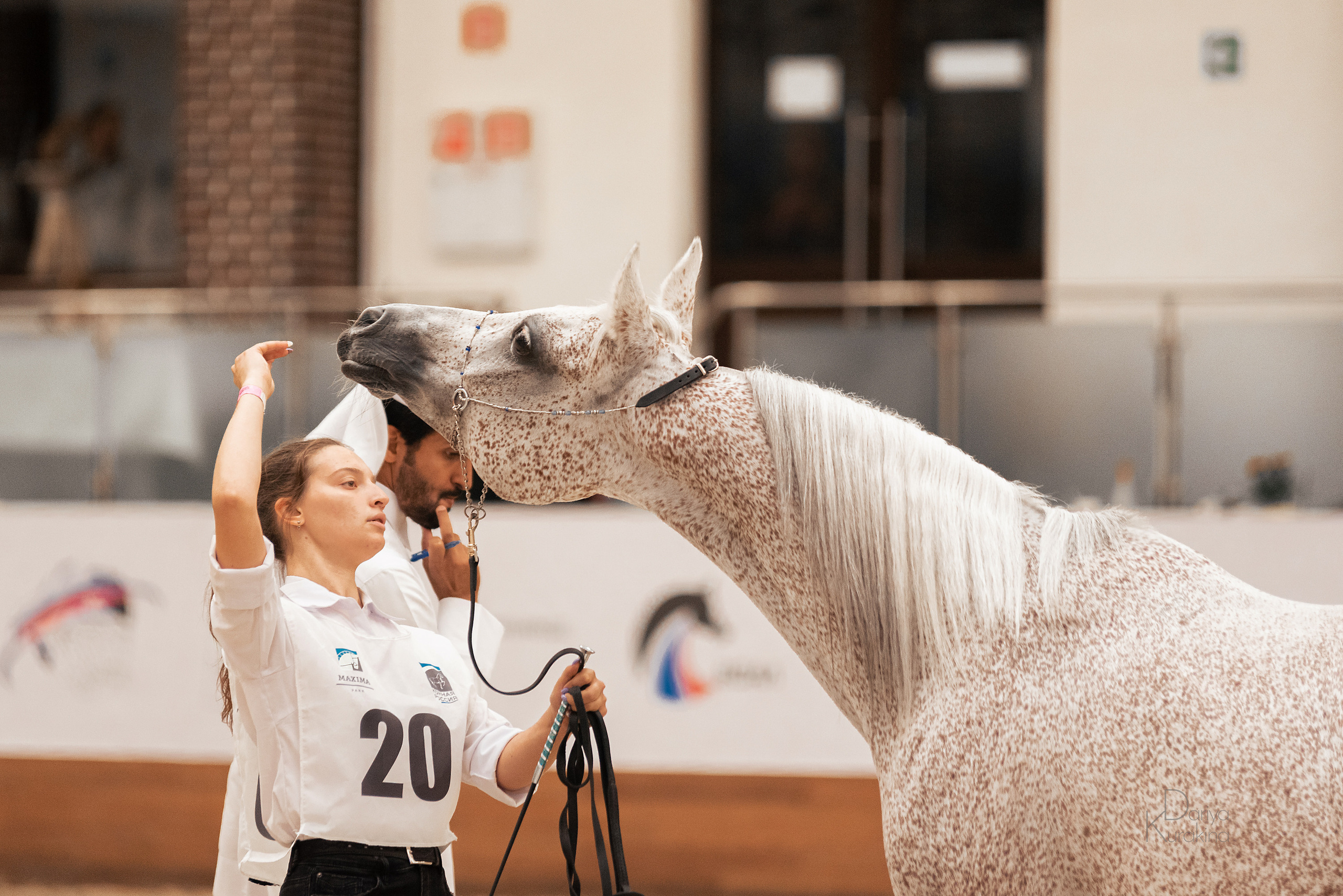 Конная Россия 2021. Конный фотограф Куракина Дарья • Фотосессии с лошадьми