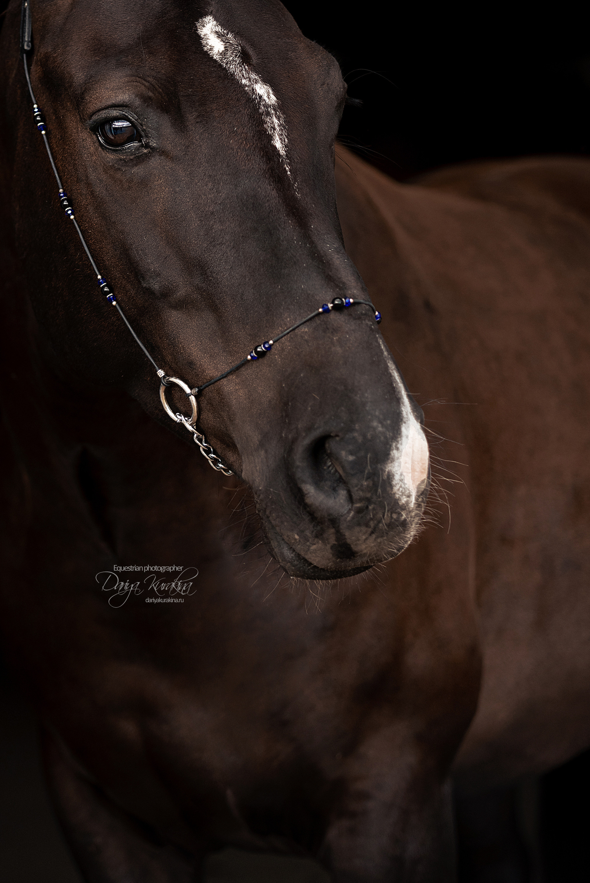 Джей Z. Конный фотограф Куракина Дарья • Фотосессии с лошадьми
