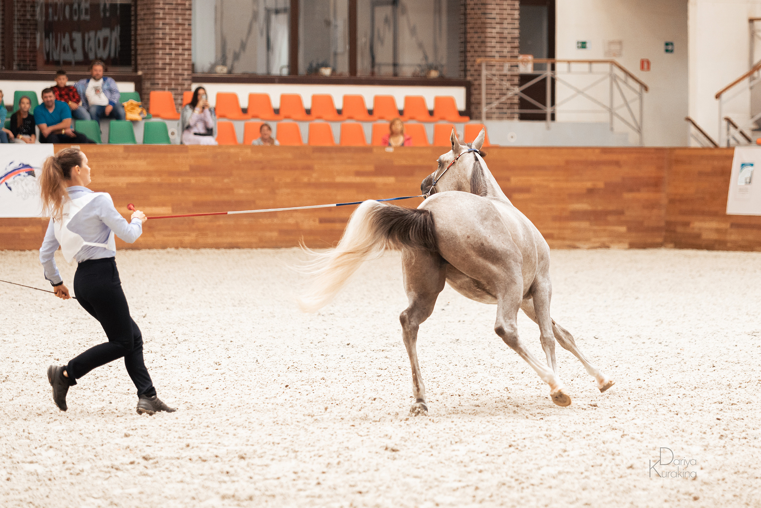 Конная Россия 2021. Конный фотограф Куракина Дарья • Фотосессии с лошадьми