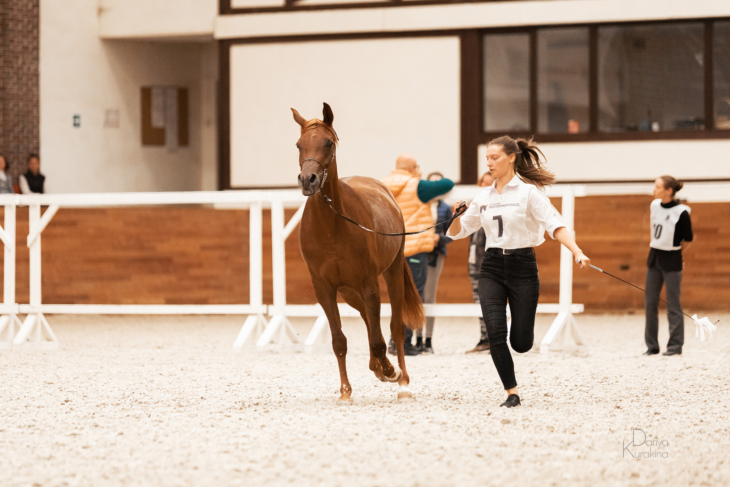 Конная Россия 2021. Конный фотограф Куракина Дарья • Фотосессии с лошадьми