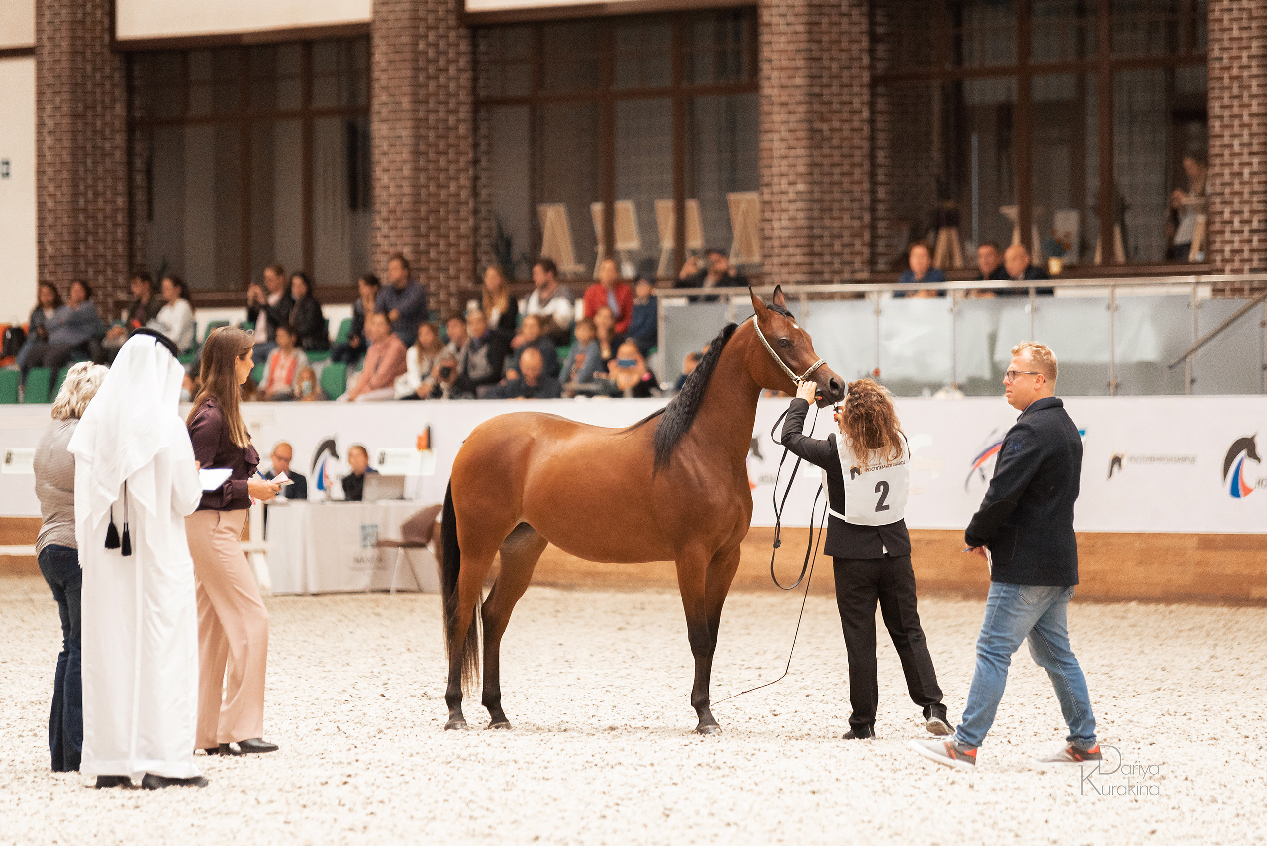 Конная Россия 2021. Конный фотограф Куракина Дарья • Фотосессии с лошадьми
