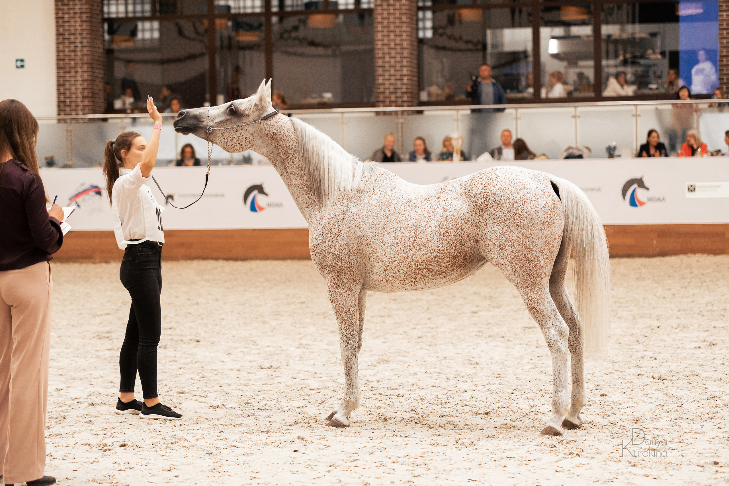Конная Россия 2021. Конный фотограф Куракина Дарья • Фотосессии с лошадьми