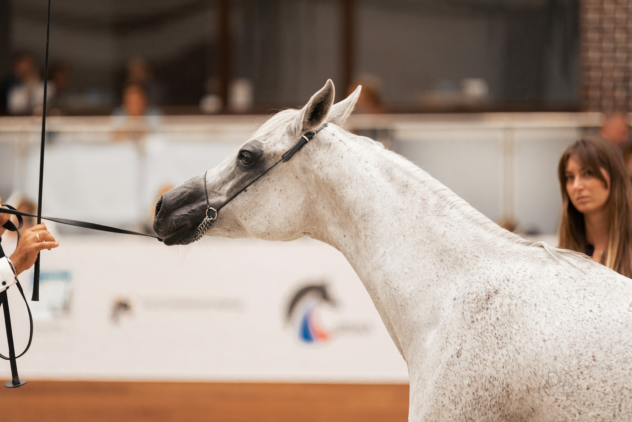 Конная Россия 2021. Конный фотограф Куракина Дарья • Фотосессии с лошадьми
