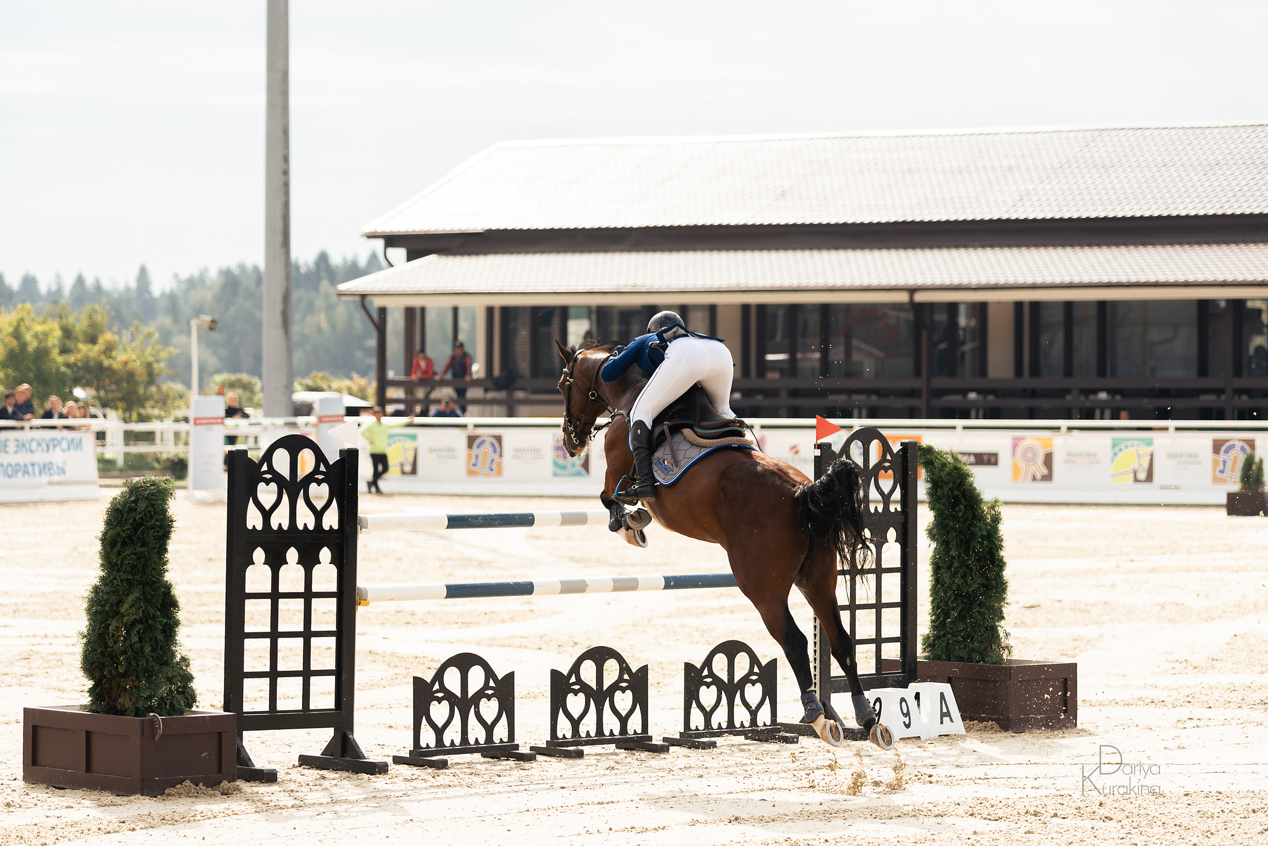 Конная Россия 2021. Конный фотограф Куракина Дарья • Фотосессии с лошадьми