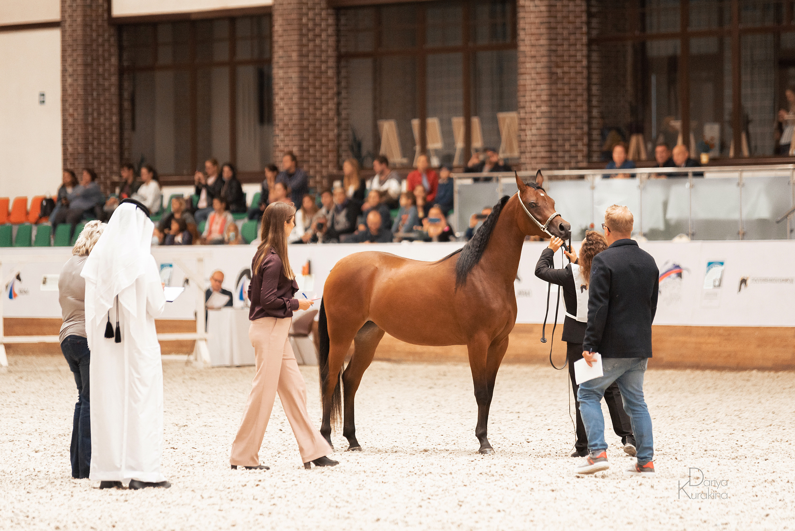 Конная Россия 2021. Конный фотограф Куракина Дарья • Фотосессии с лошадьми