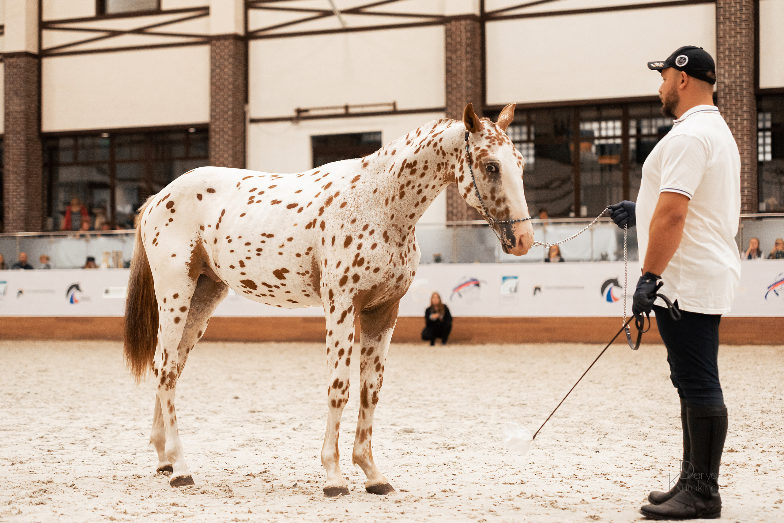 Конная Россия 2021. Конный фотограф Куракина Дарья • Фотосессии с лошадьми