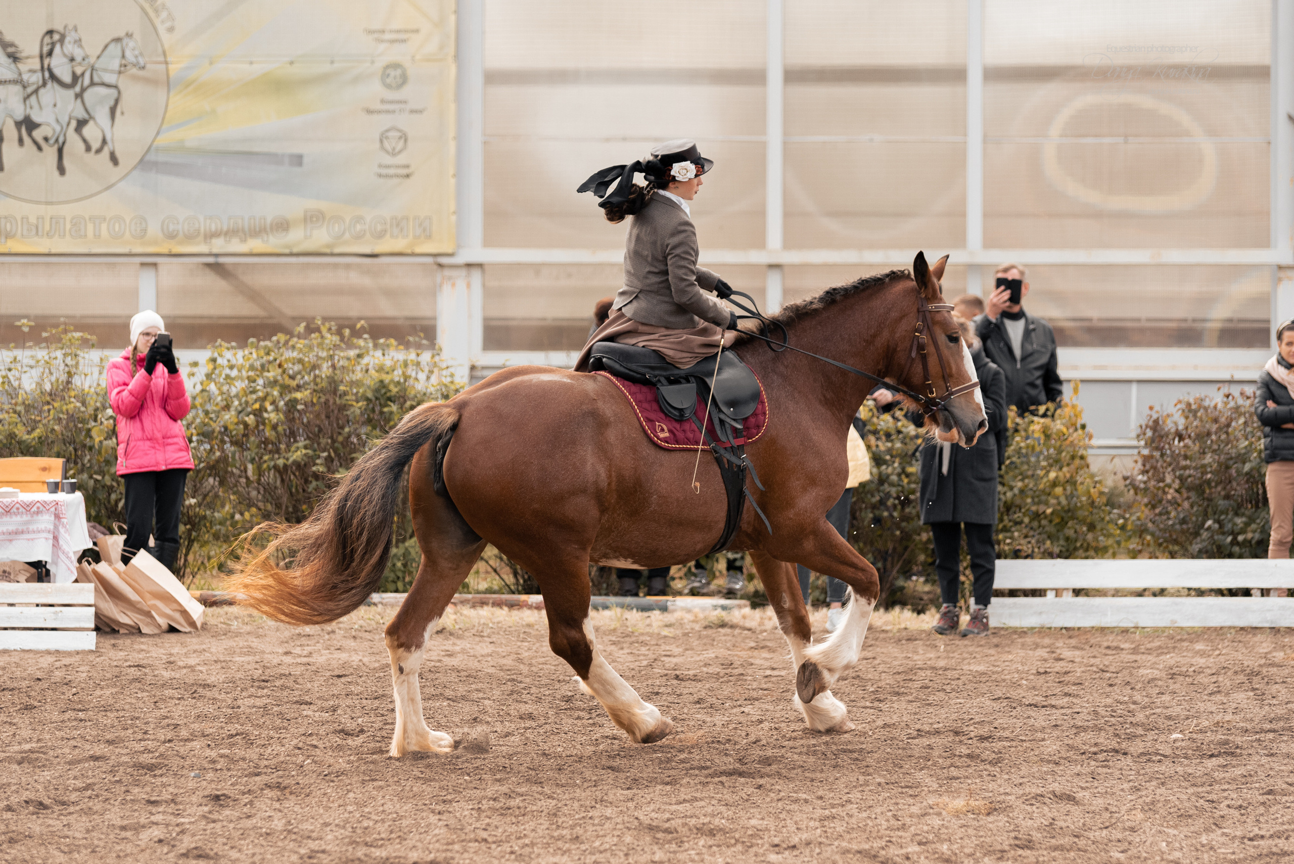 Богдарня. Конный фотограф Куракина Дарья • Фотосессии с лошадьми